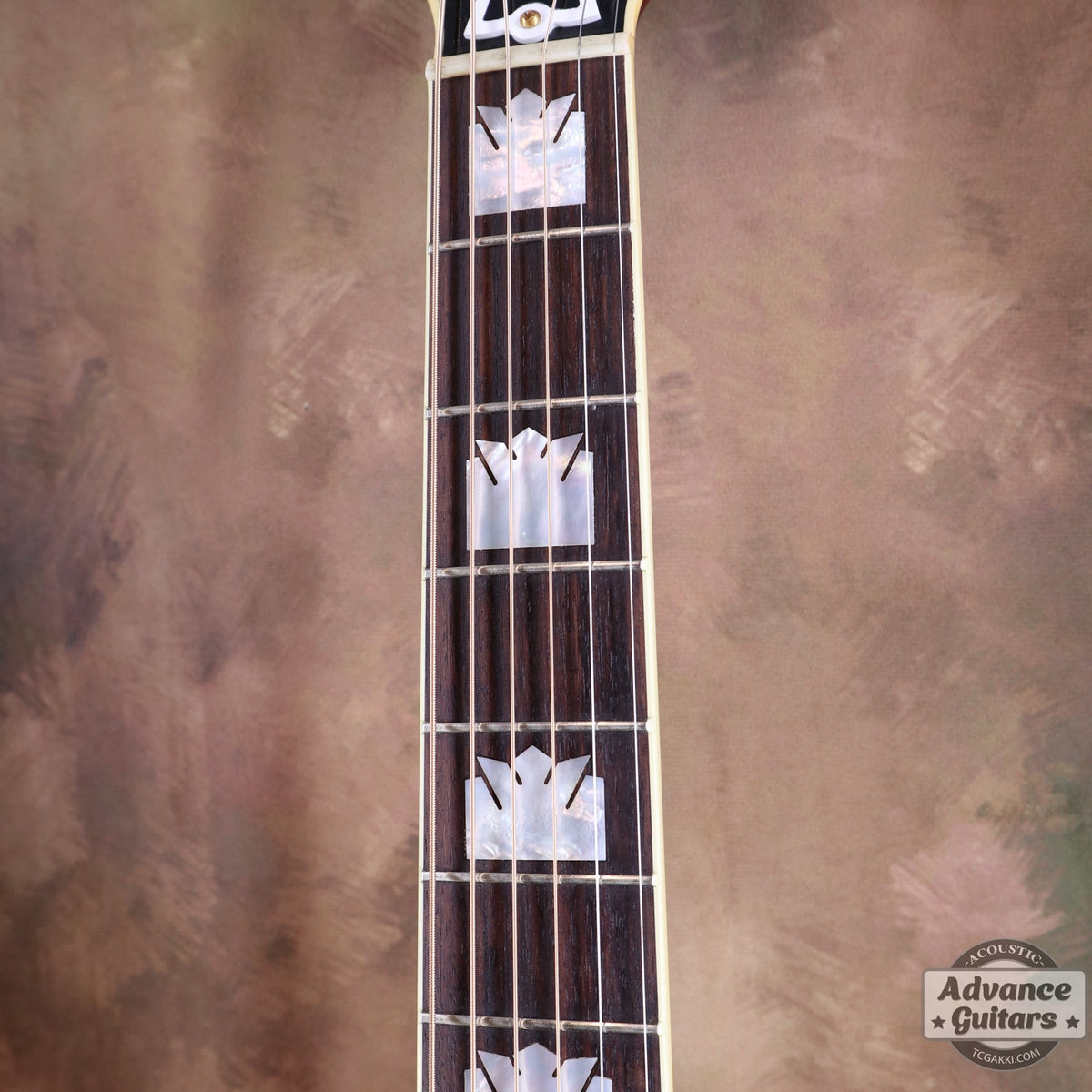 Gibson 2024年製 Jimmy Page 1964 SJ-200 - TC楽器 - TCGAKKI