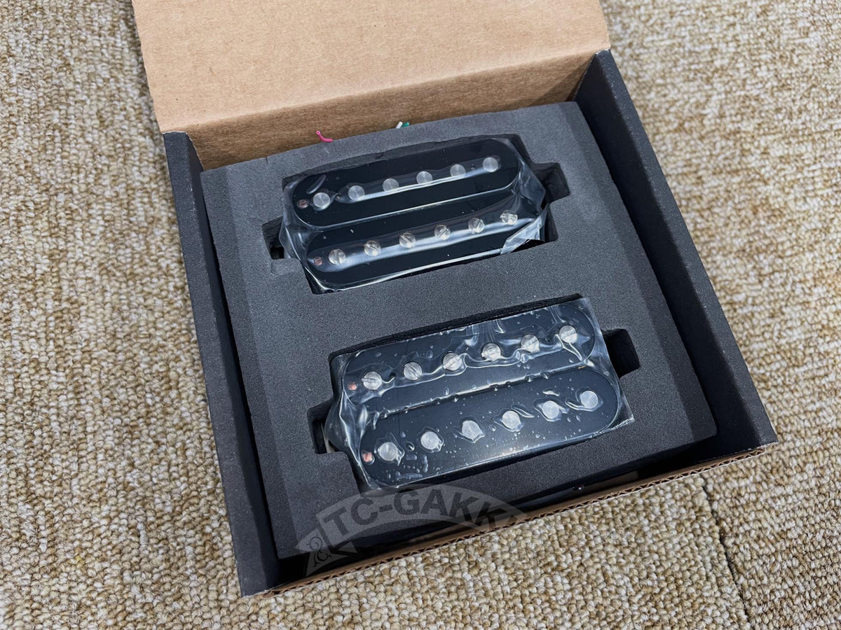 Gibson 496R + 500T Set - TC楽器 - TCGAKKI