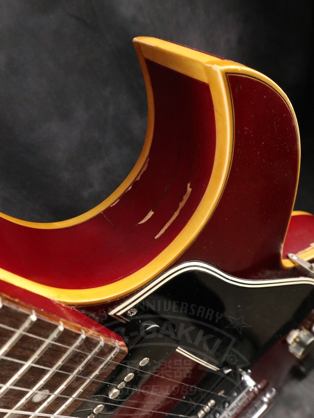 Gibson ES-135 - TC楽器 - TCGAKKI