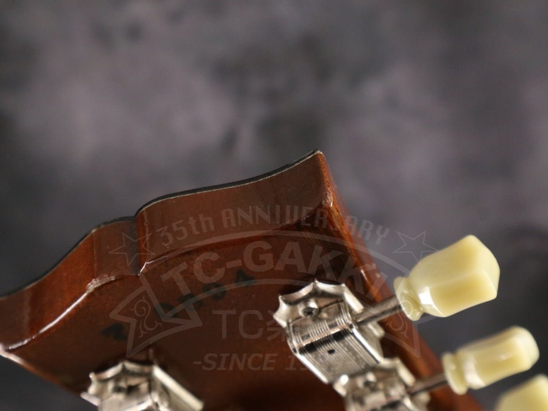 Gibson Les Paul Classic - TC楽器 - TCGAKKI
