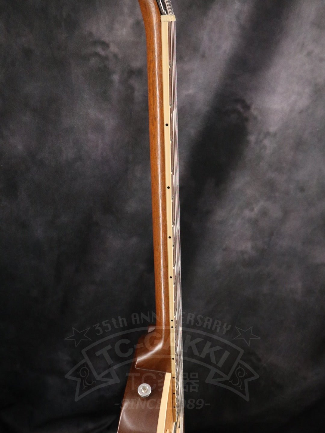 Gibson Les Paul Standard 50s Faded - TC楽器 - TCGAKKI
