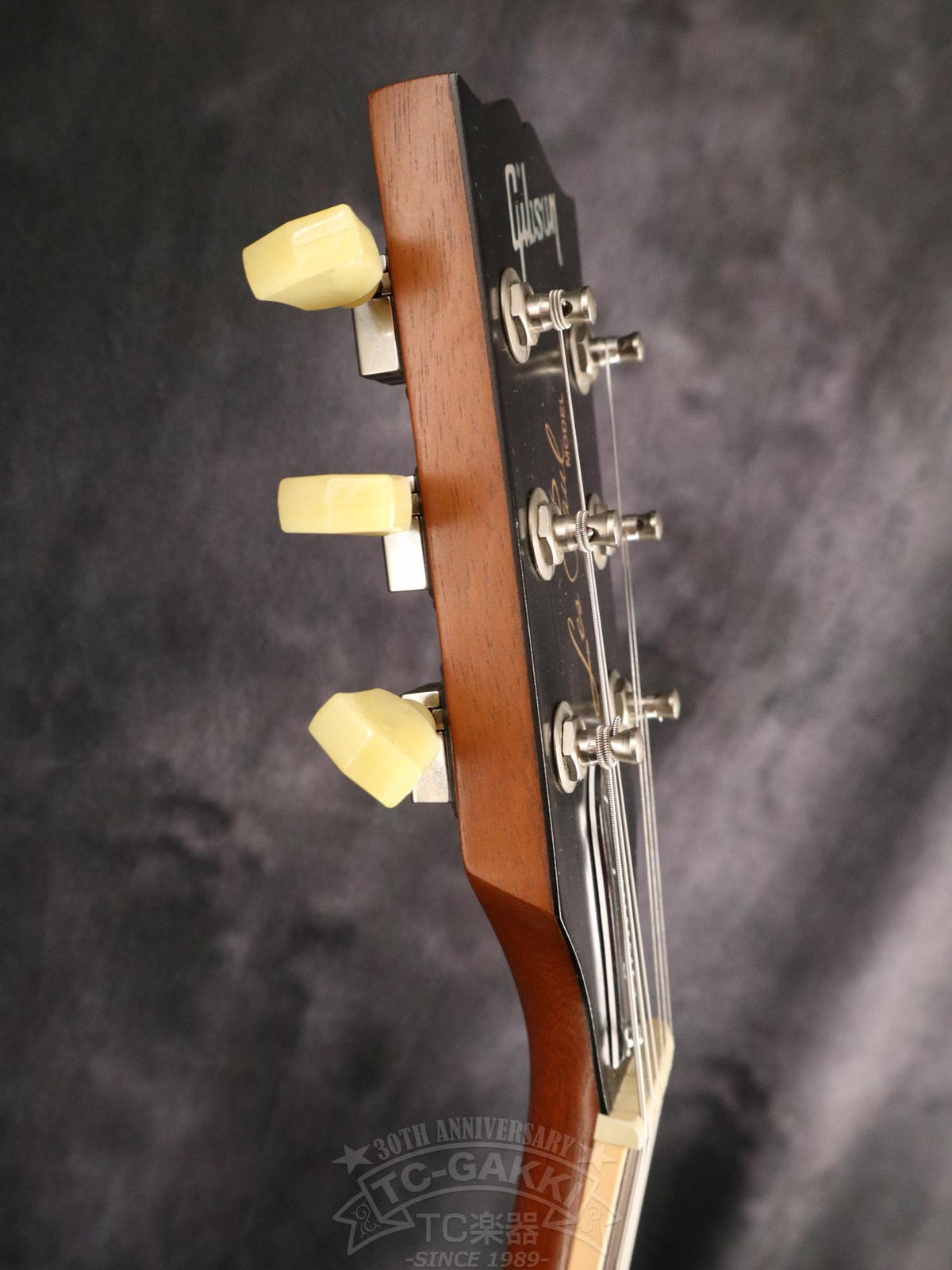 Gibson Les Paul Standard 50s Faded - TC楽器 - TCGAKKI
