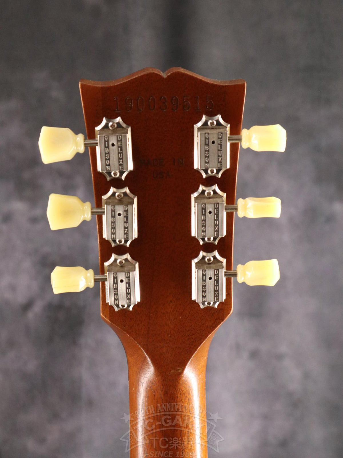 Gibson Les Paul Standard 50s Faded - TC楽器 - TCGAKKI