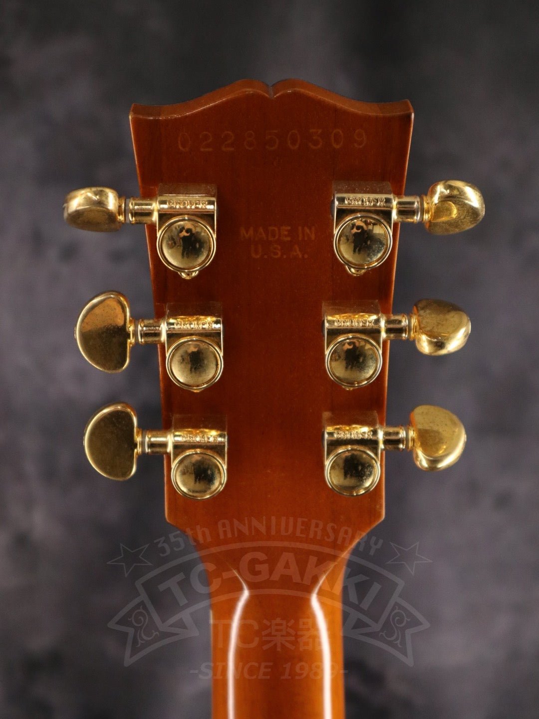 Gibson Les Paul Standard DC