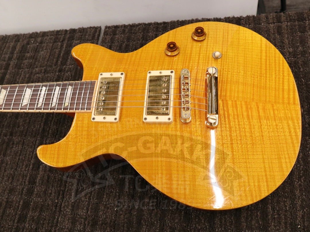 Gibson Les Paul Standard DC - TC楽器 - TCGAKKI