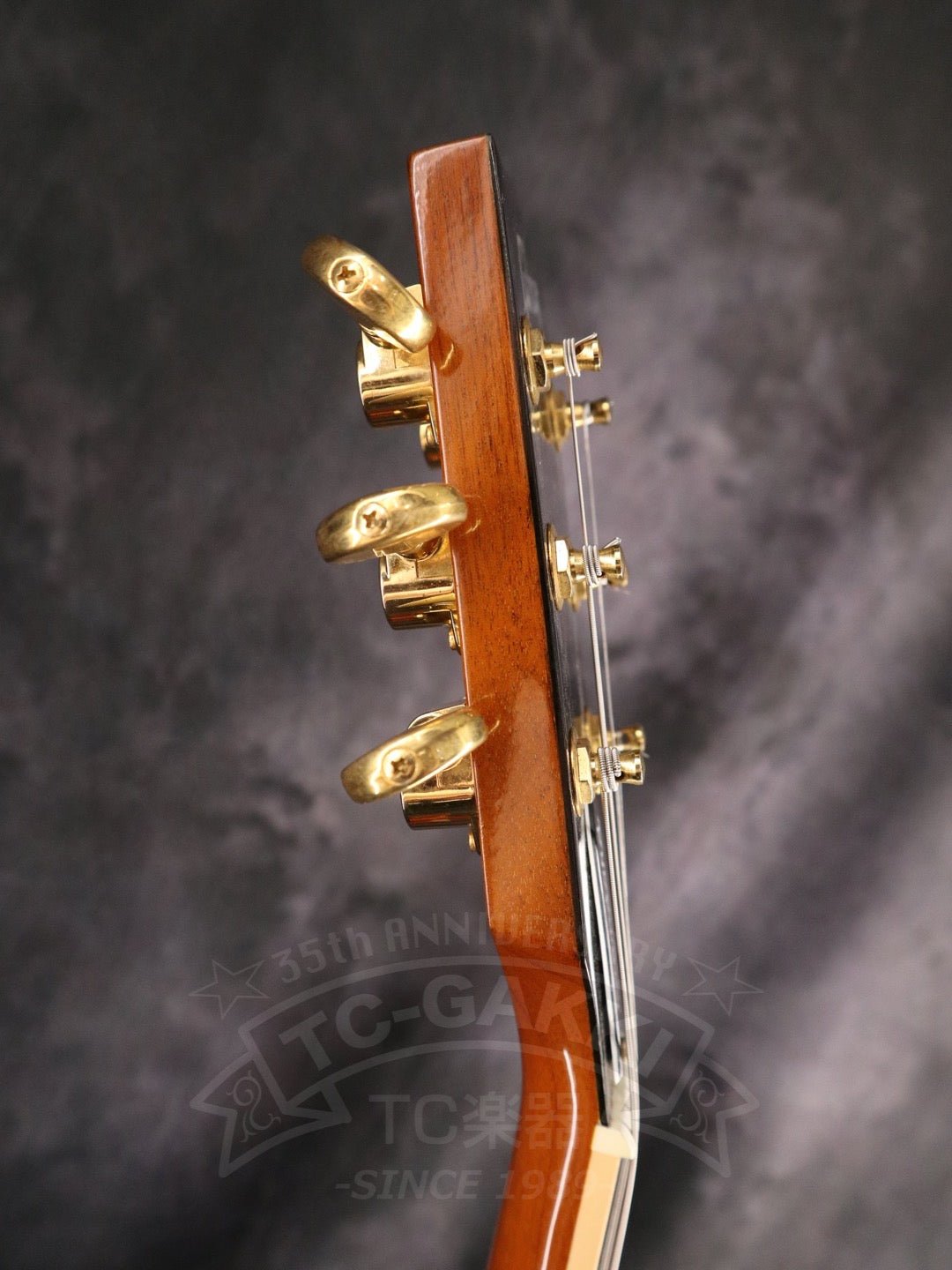 Gibson Les Paul Standard DC