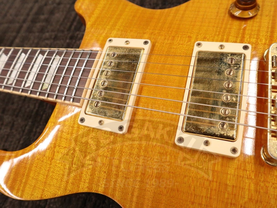 Gibson Les Paul Standard DC - TC楽器 - TCGAKKI