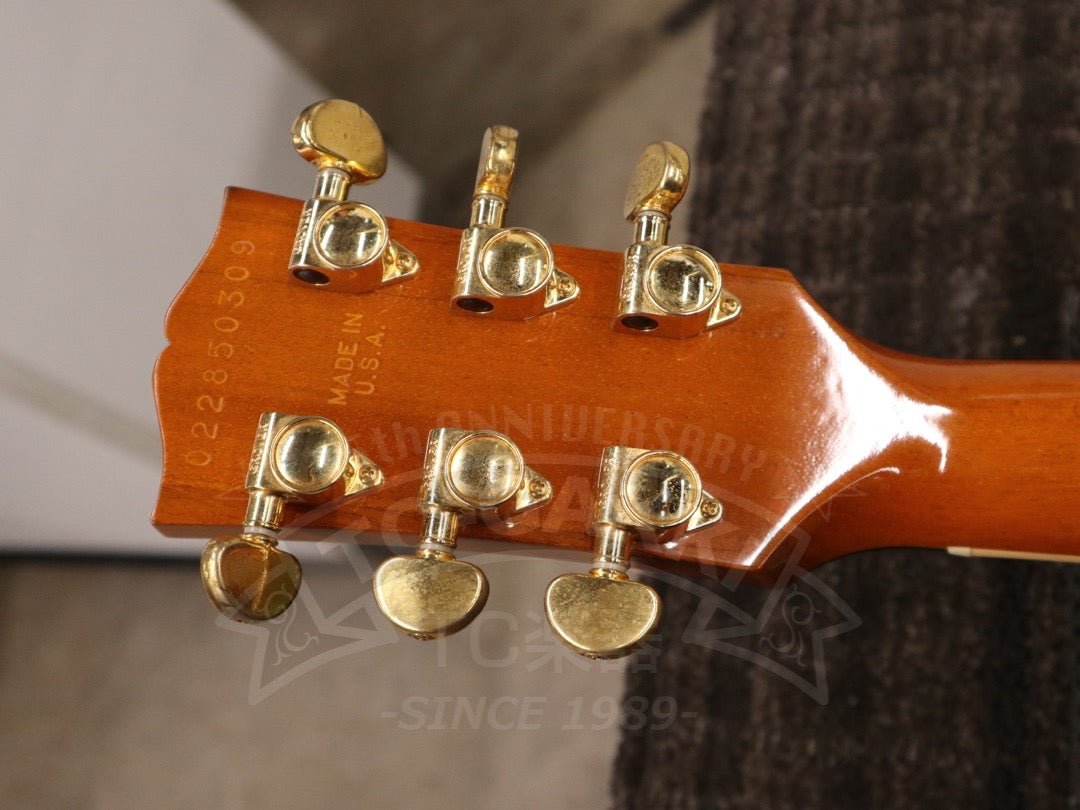 Gibson Les Paul Standard DC