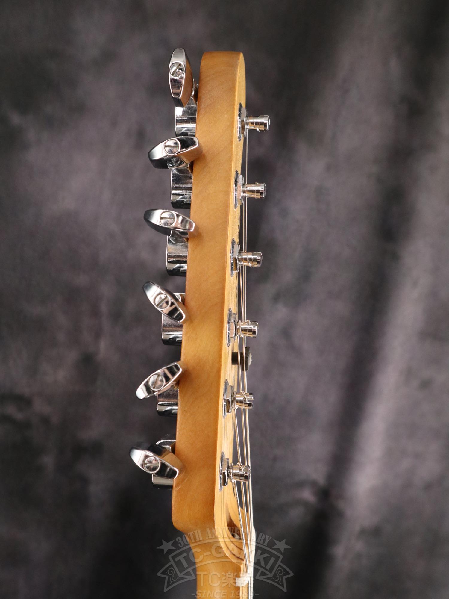 G&L USA ASAT CLASSIC - TC楽器 - TCGAKKI