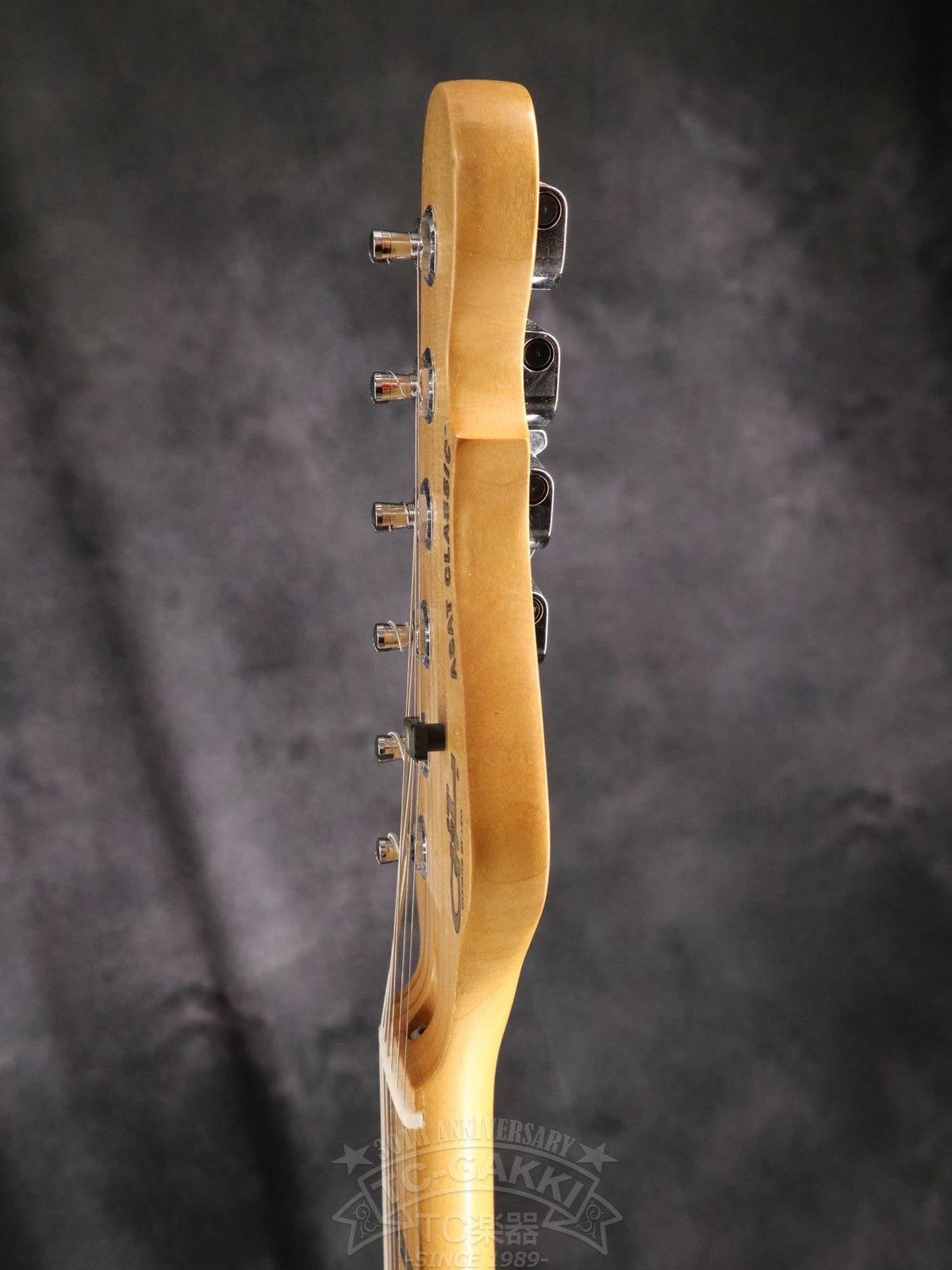 G&L USA ASAT CLASSIC - TC楽器 - TCGAKKI