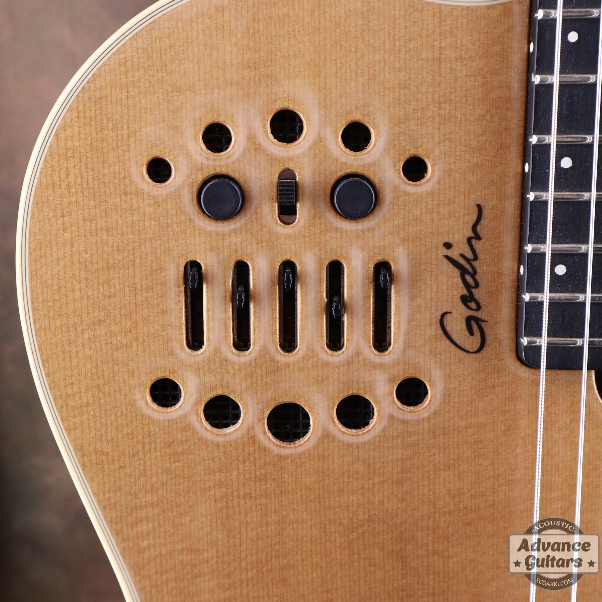 Godin 2002年製 Multiac Nylon SG - TC楽器 - TCGAKKI