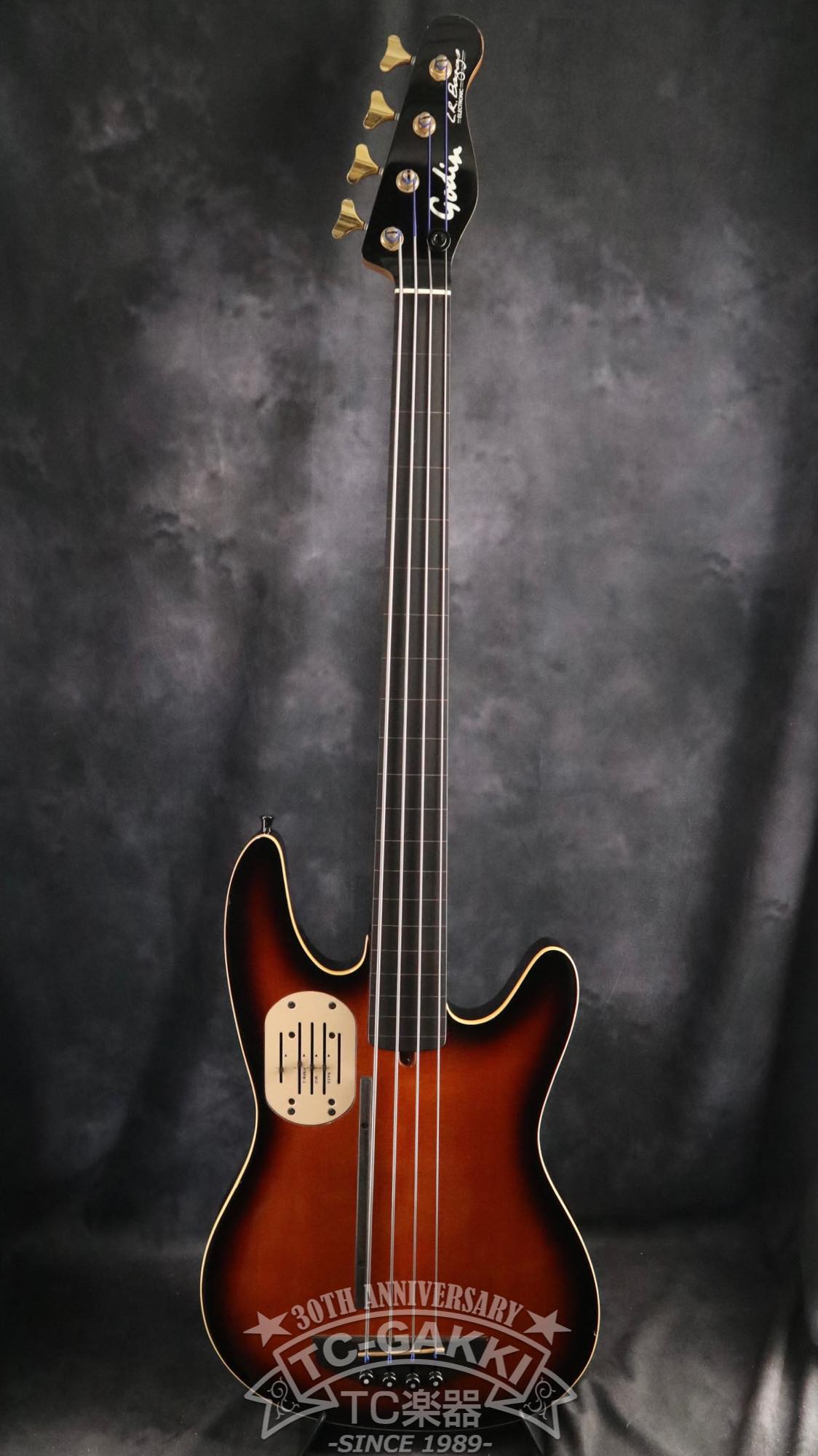 Godin LR Baggs Model Semi - Acoustic Fretless Bass - TC楽器 - TCGAKKI