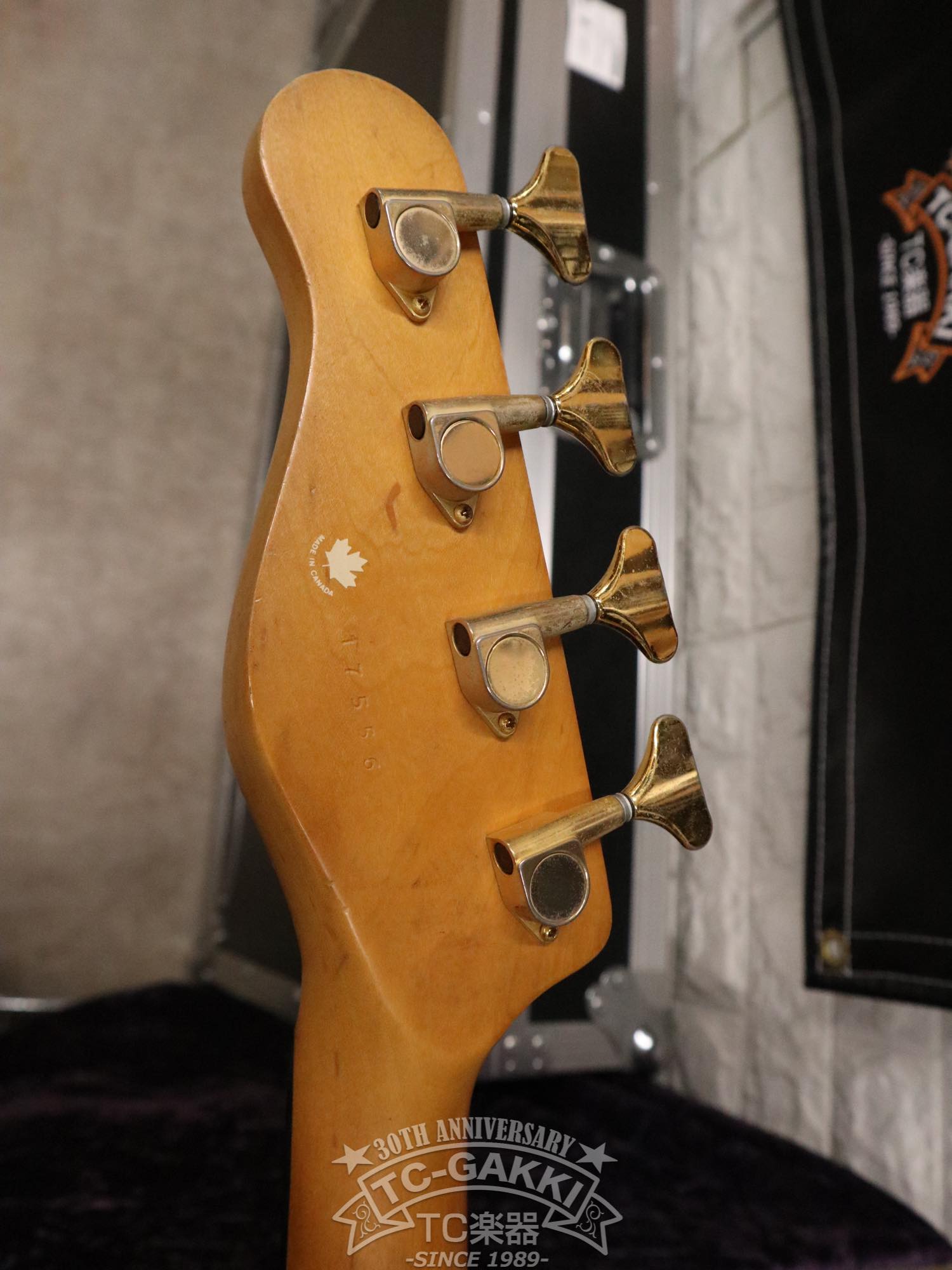 Godin LR Baggs Model Semi - Acoustic Fretless Bass - TC楽器 - TCGAKKI