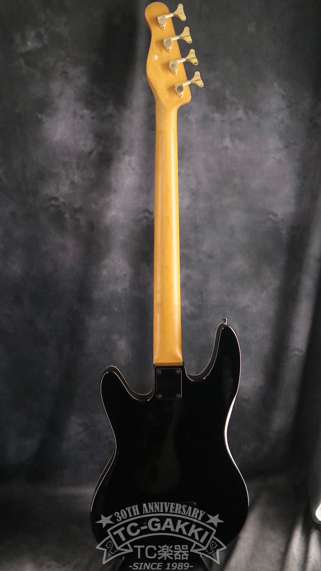 Godin LR Baggs Model Semi - Acoustic Fretless Bass - TC楽器 - TCGAKKI