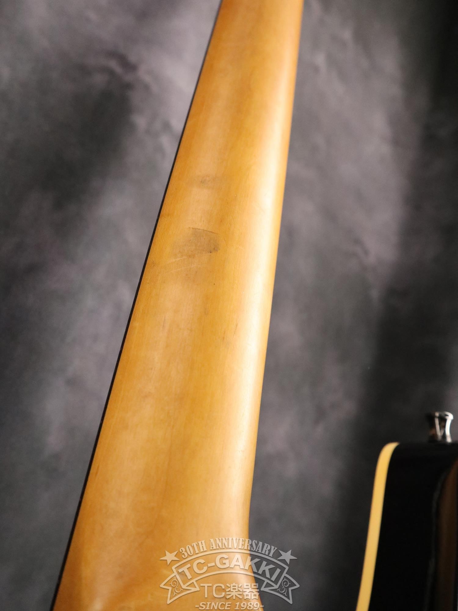 Godin LR Baggs Model Semi - Acoustic Fretless Bass - TC楽器 - TCGAKKI