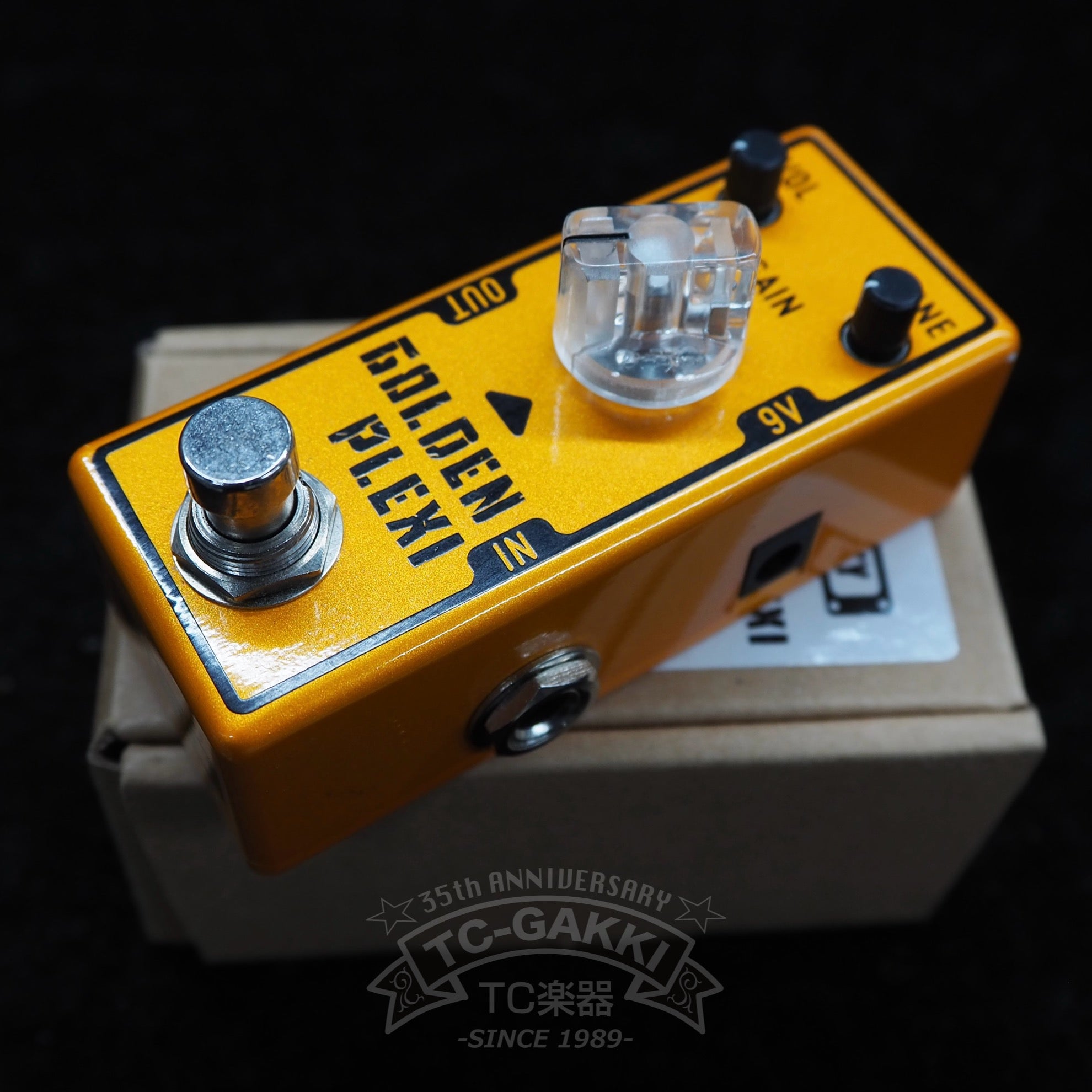 GOLDEN PLEXI - TC楽器 - TCGAKKI