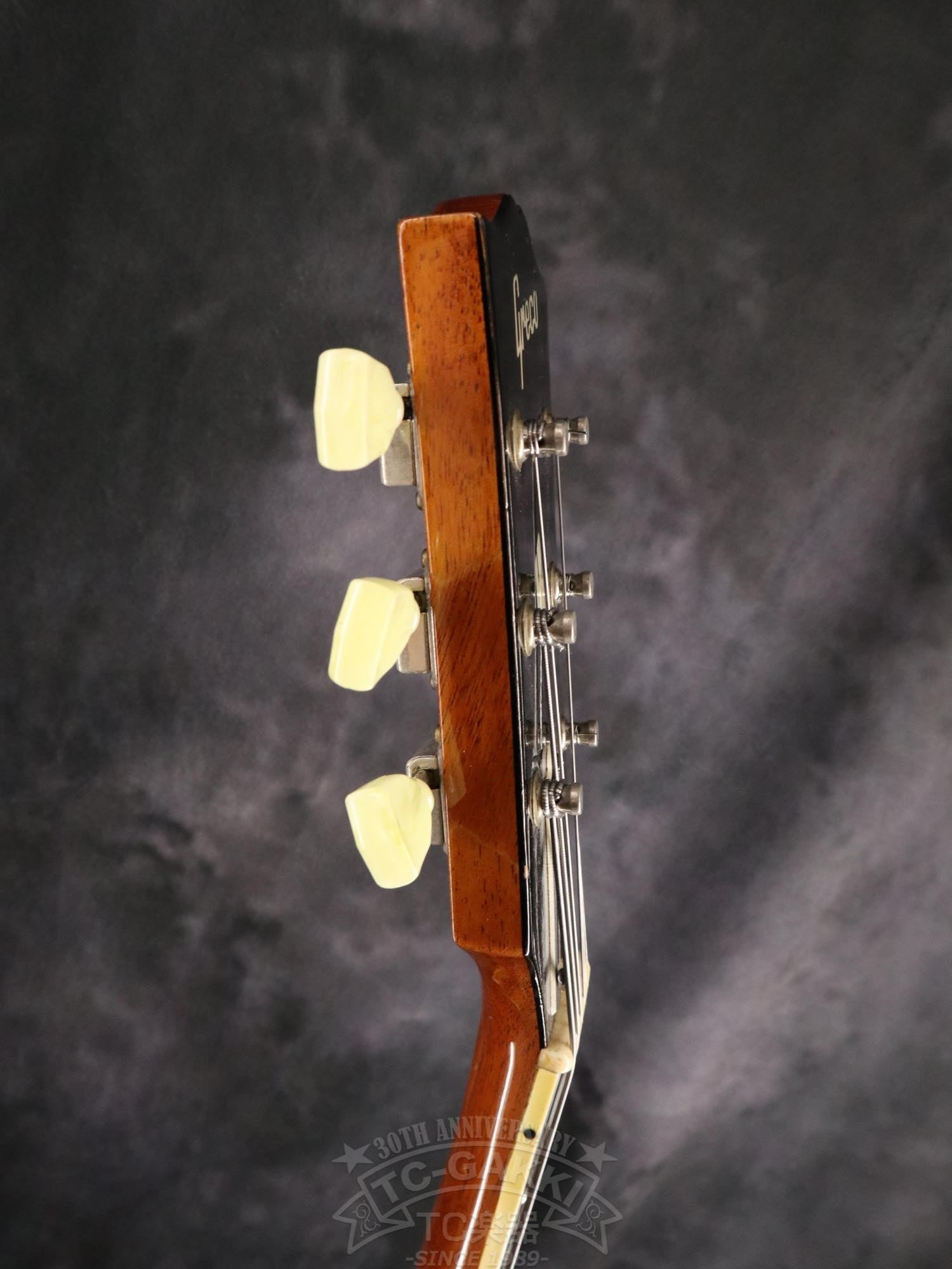 Greco FA67-70 - TC楽器 - TCGAKKI