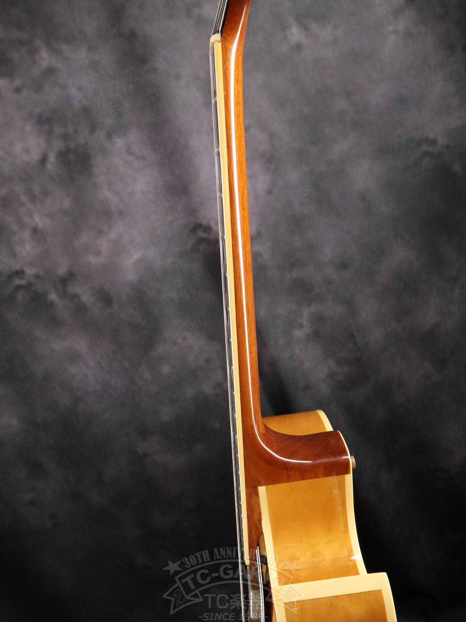 Greco FA67-70 - TC楽器 - TCGAKKI