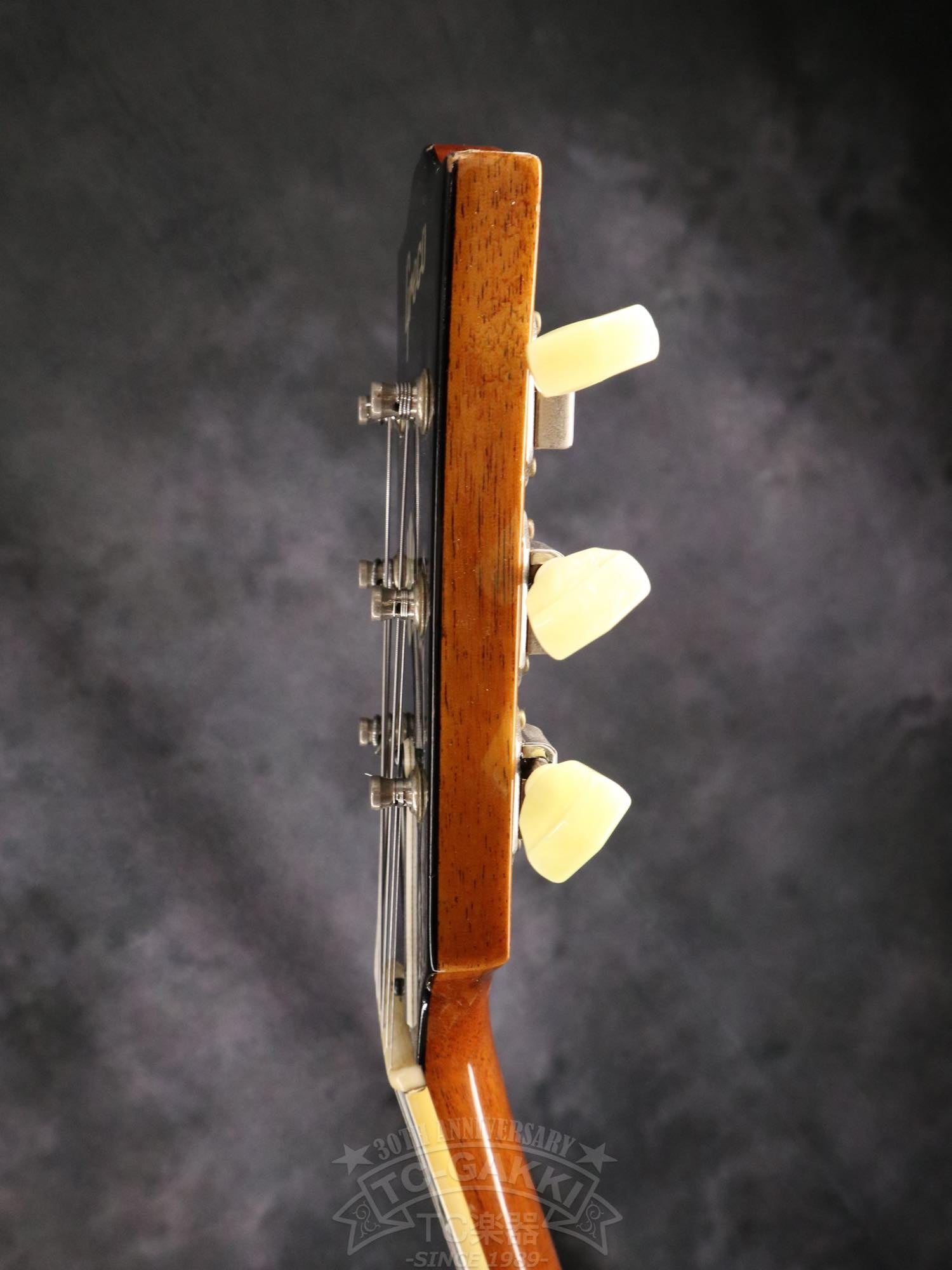 Greco FA67-70 - TC楽器 - TCGAKKI