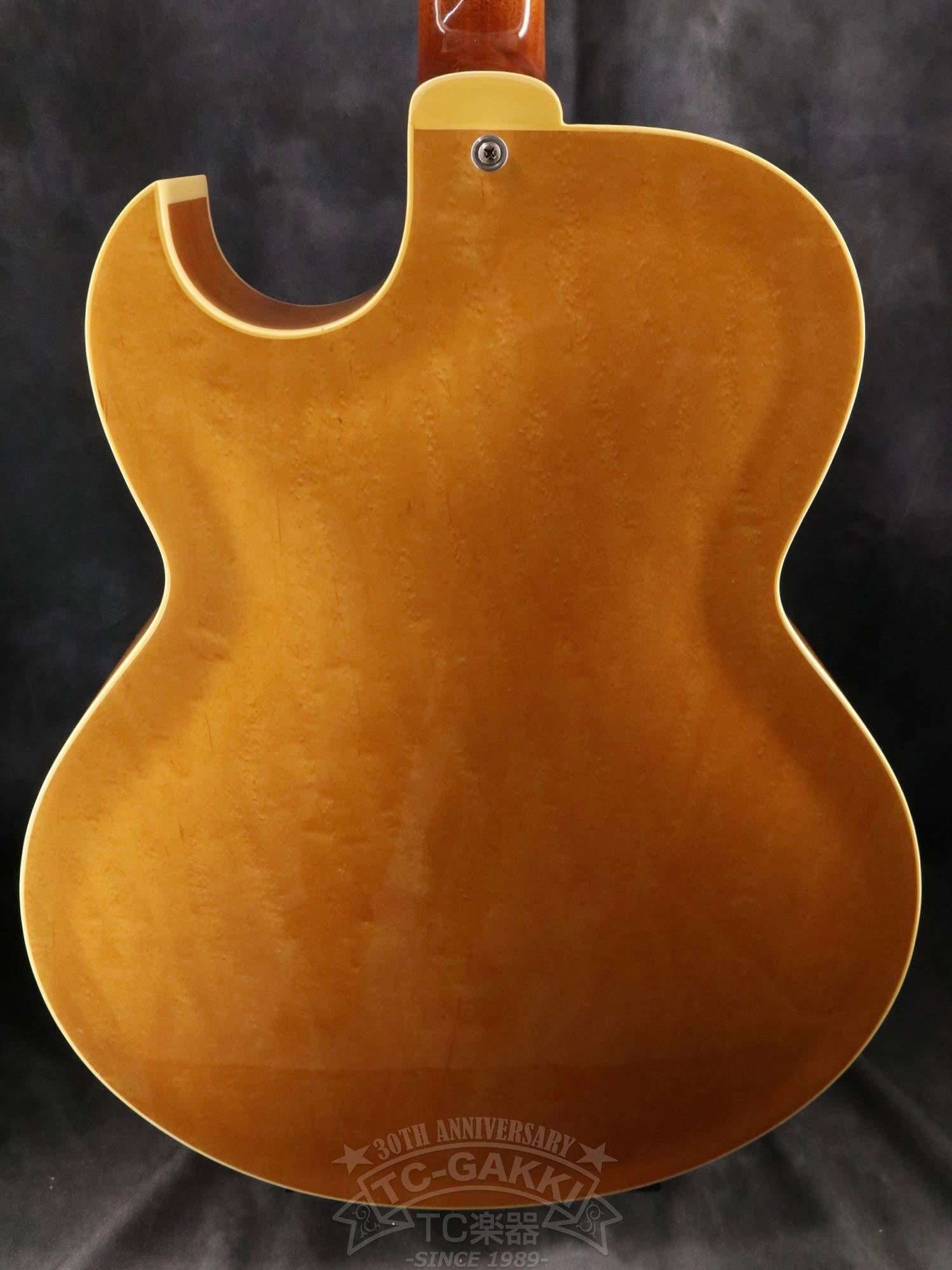 Greco FA67-70 - TC楽器 - TCGAKKI