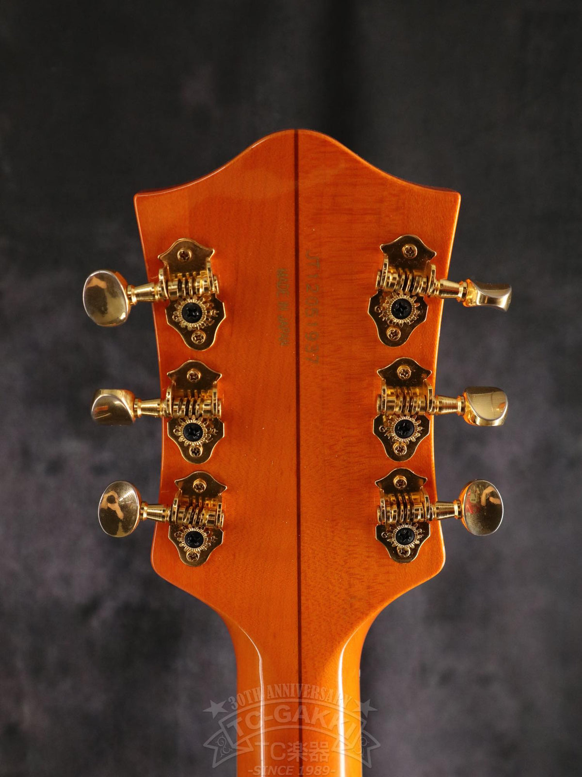 Gretsch 6120EC - TC楽器 - TCGAKKI