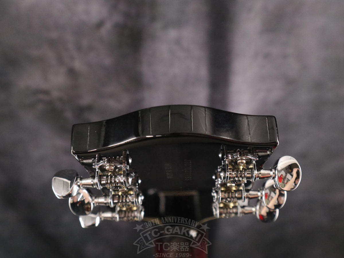 Gretsch G6119-1962HT - TC楽器 - TCGAKKI