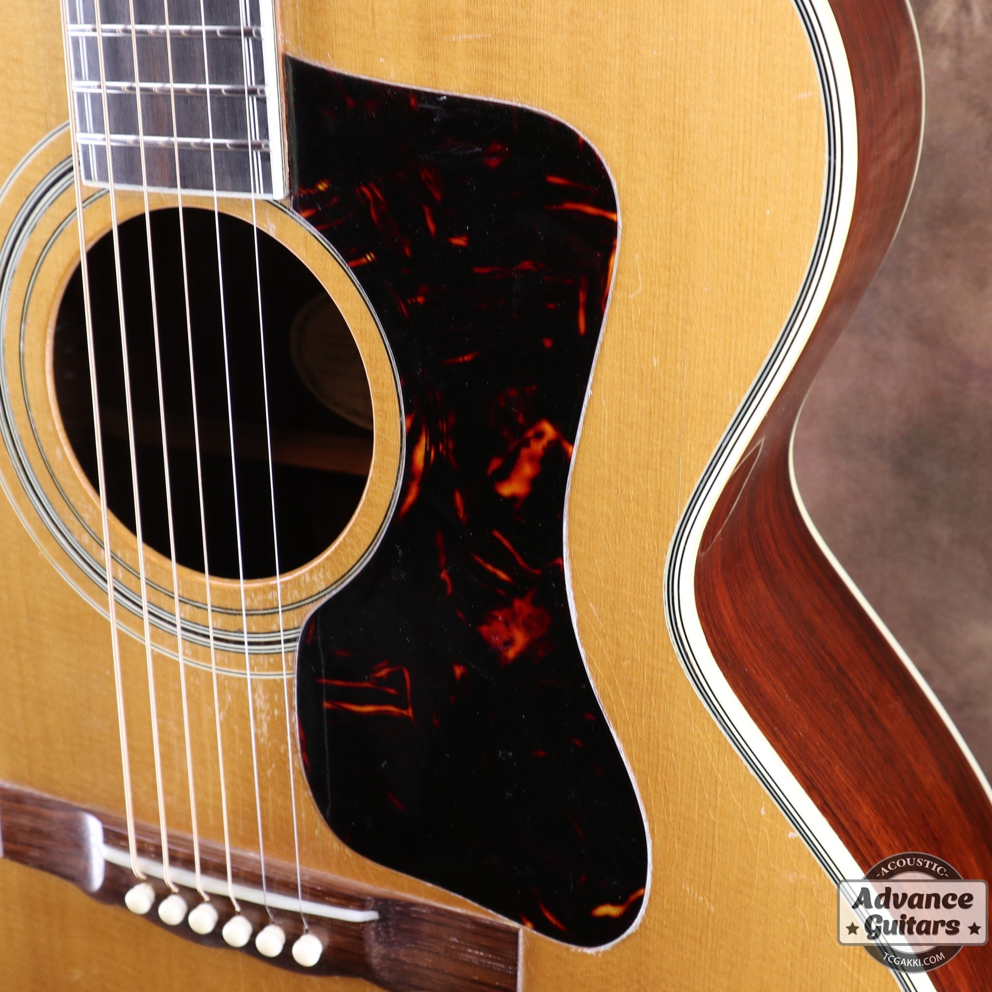 Guild 1967年製 F-50R Brazilian Rosewood - TC楽器 - TCGAKKI
