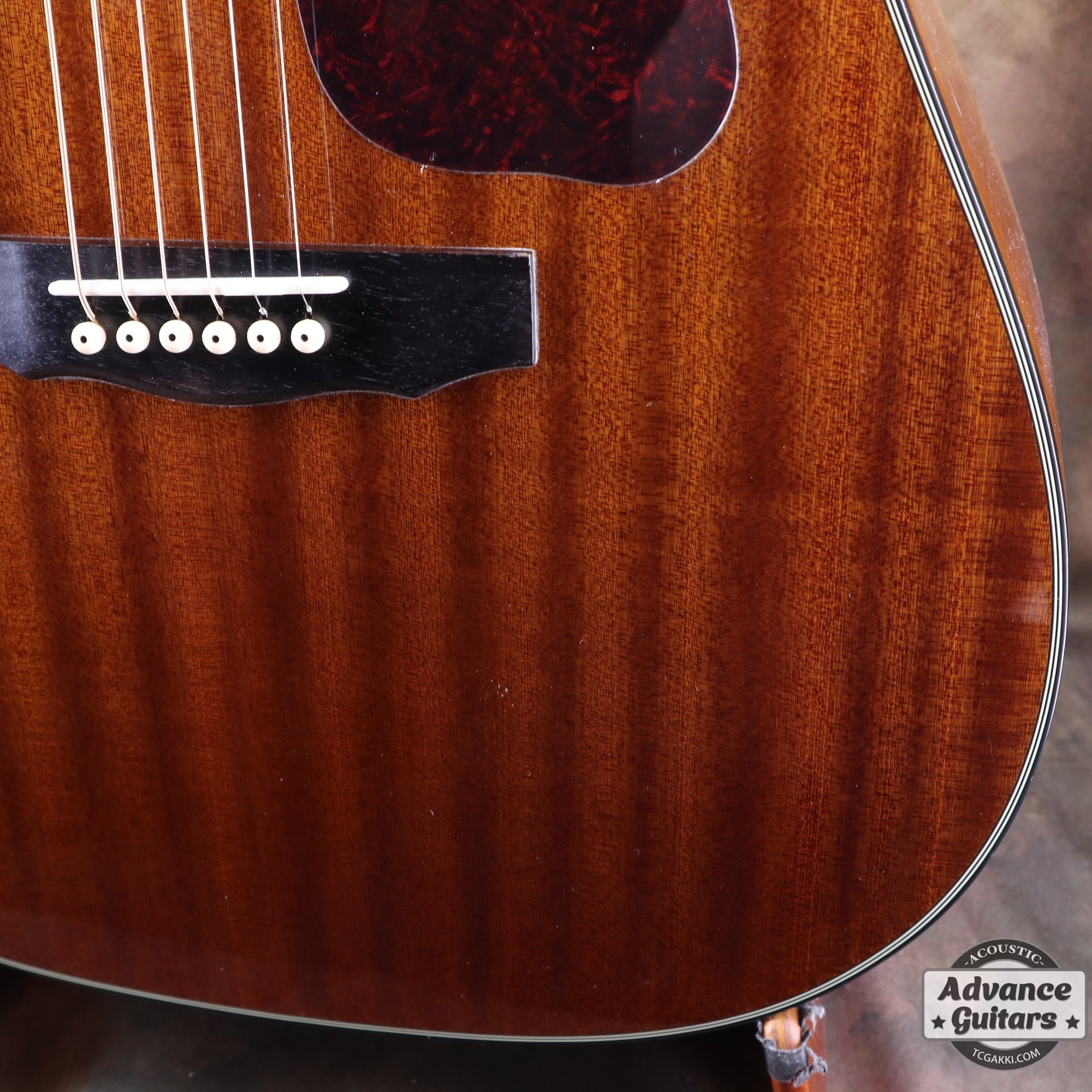 Guild D - 120 - TC楽器 - TCGAKKI