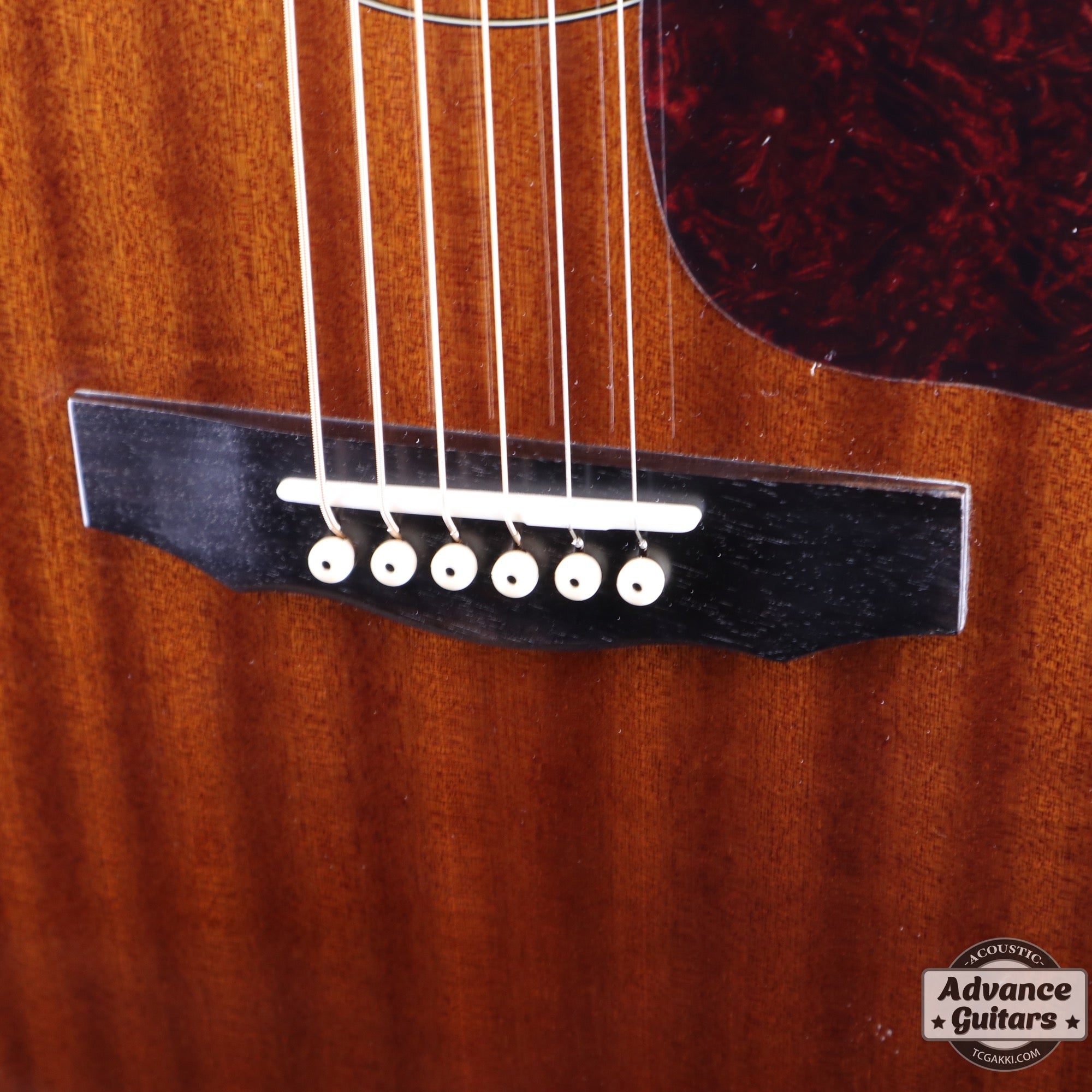 Guild D - 120 - TC楽器 - TCGAKKI
