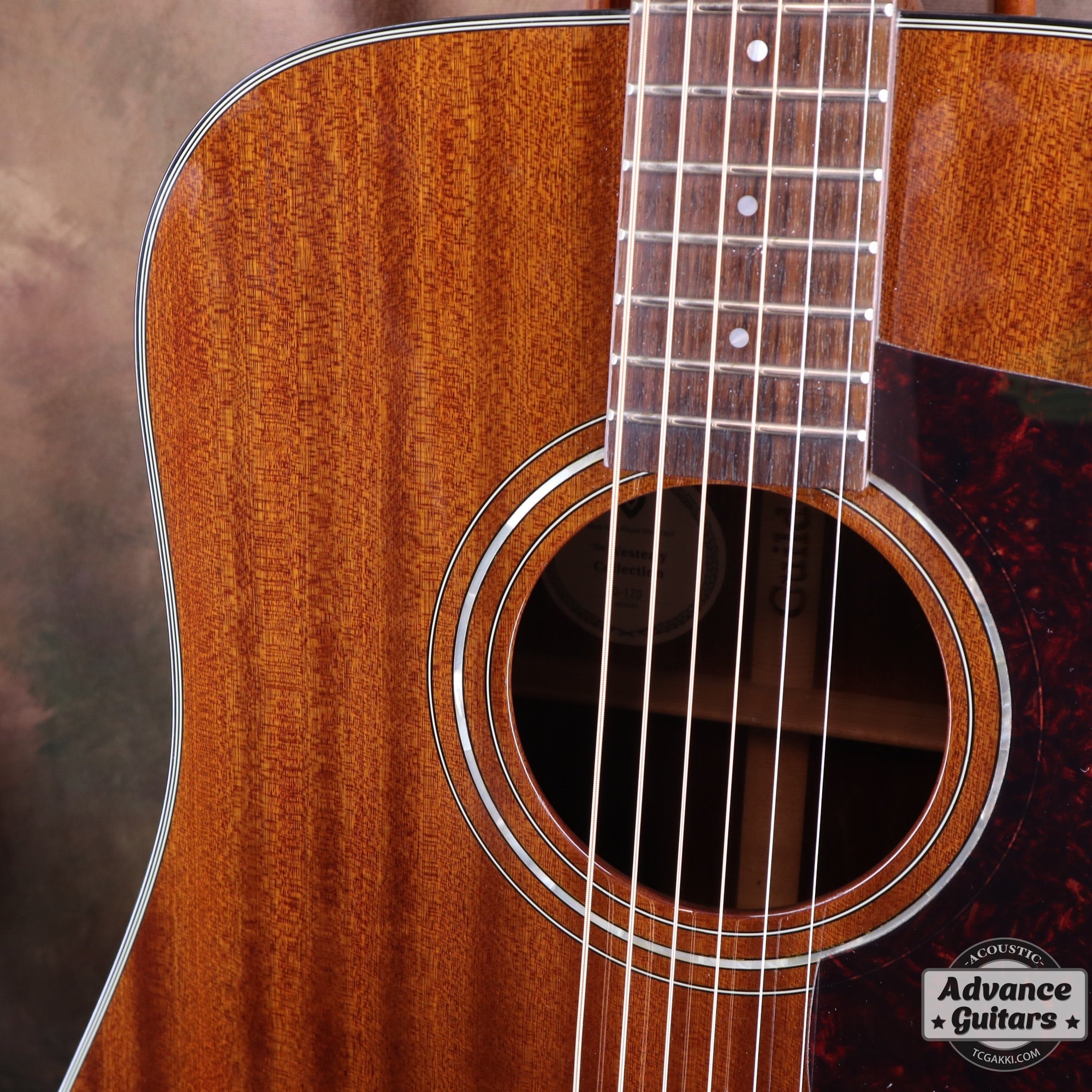 Guild D - 120 - TC楽器 - TCGAKKI