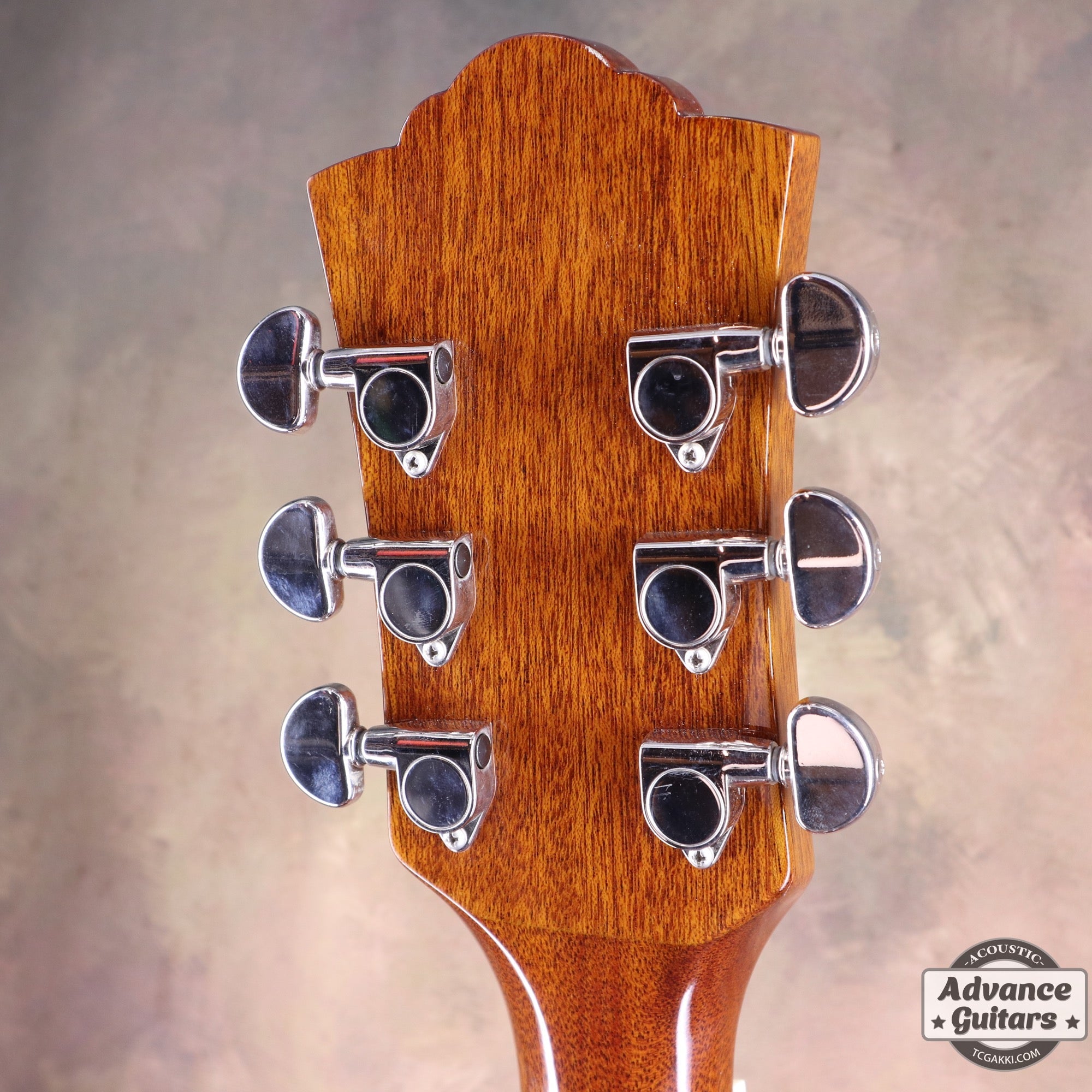 Guild D - 120 - TC楽器 - TCGAKKI
