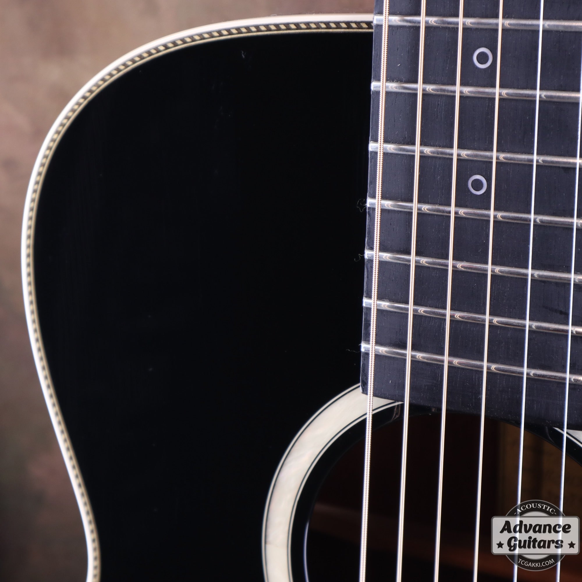 HC - 313 STD 40th Anniversary - TC楽器 - TCGAKKI