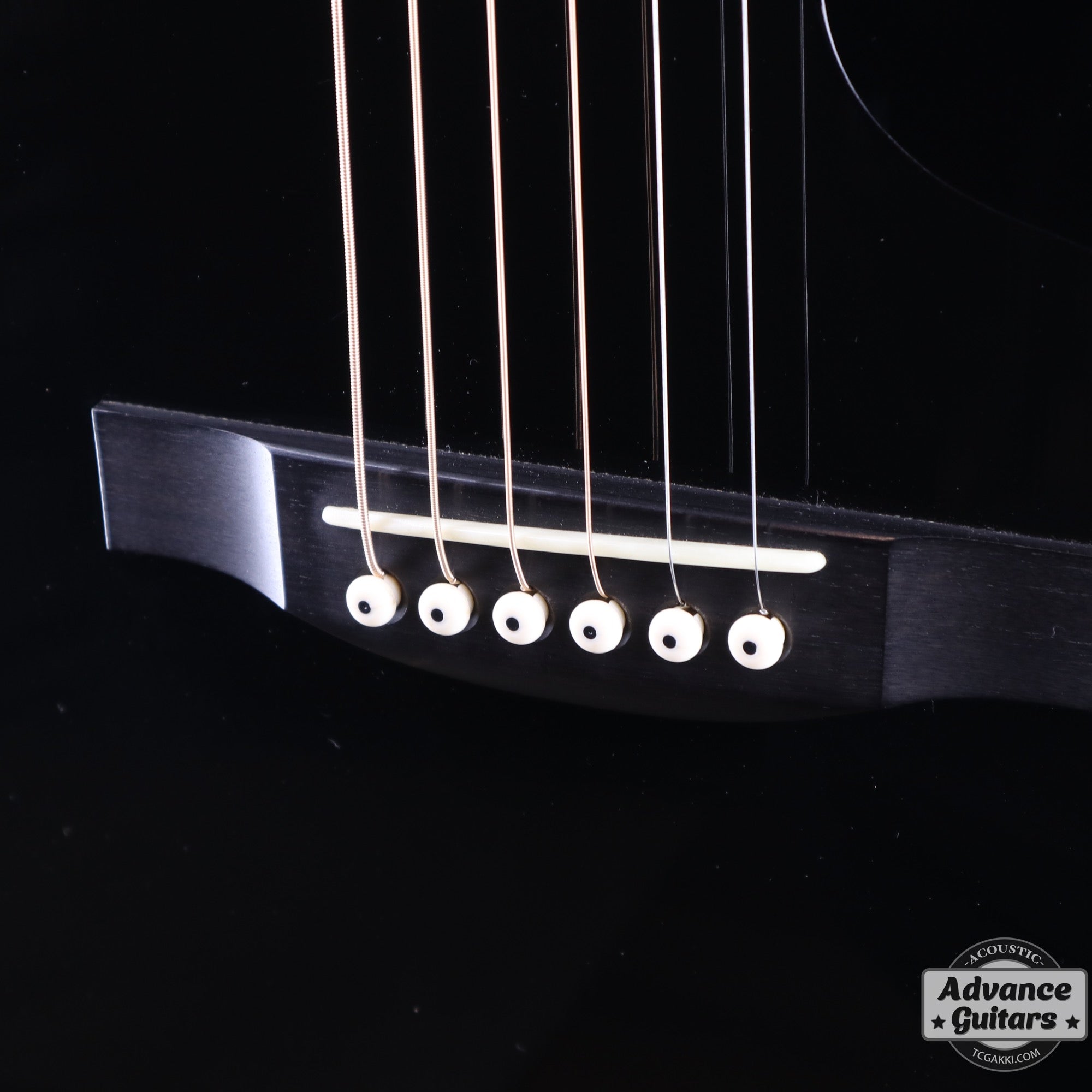 HC - 313 STD 40th Anniversary - TC楽器 - TCGAKKI