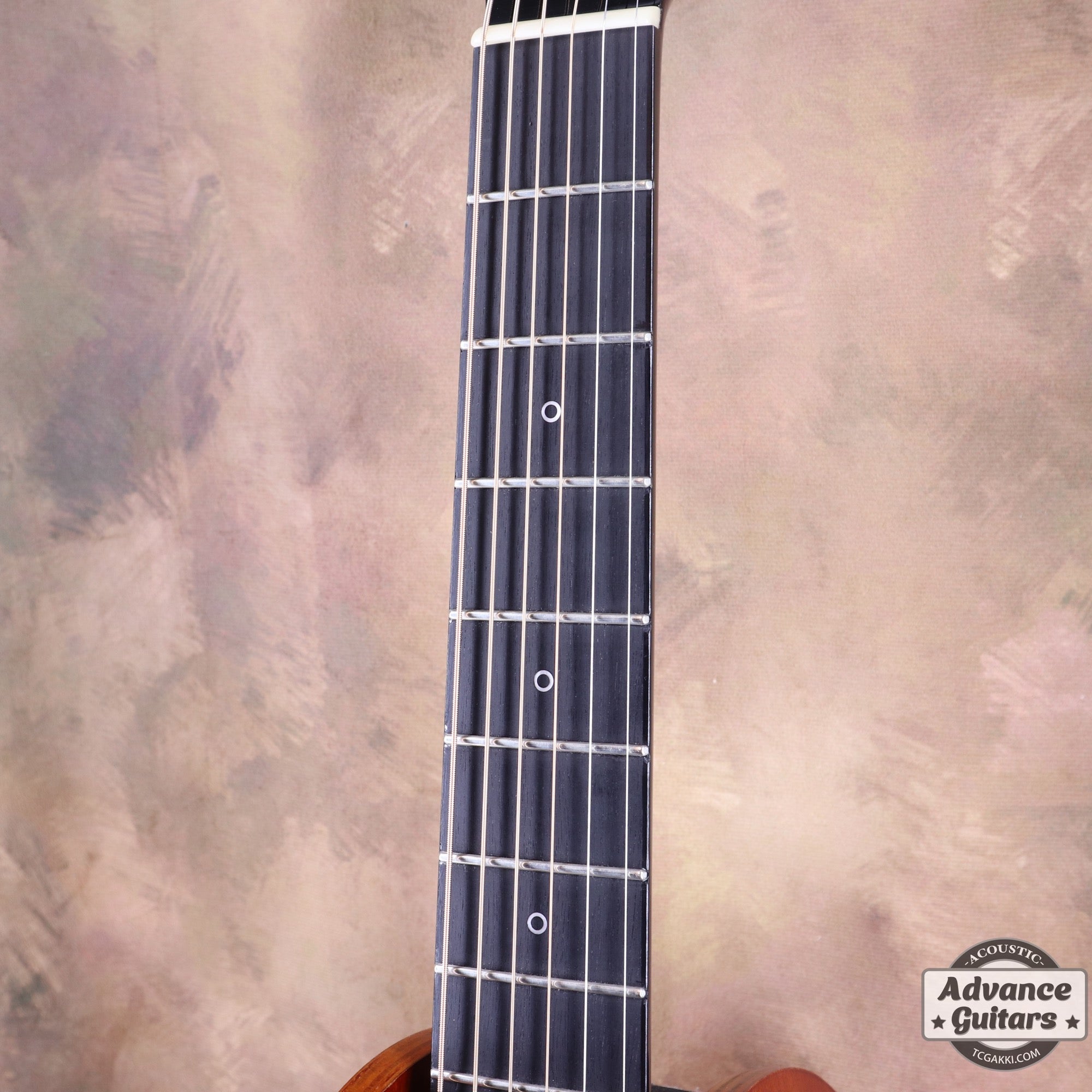 HC-313 STD 40th Anniversary - TC楽器 - TCGAKKI