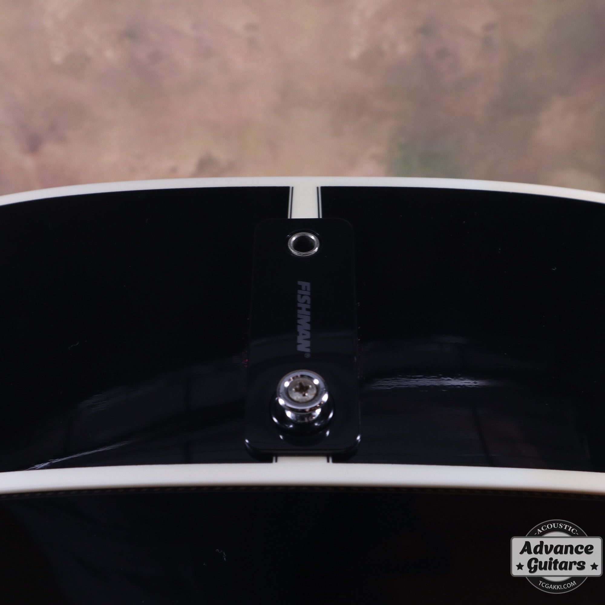 HC - 313 STD 40th Anniversary - TC楽器 - TCGAKKI