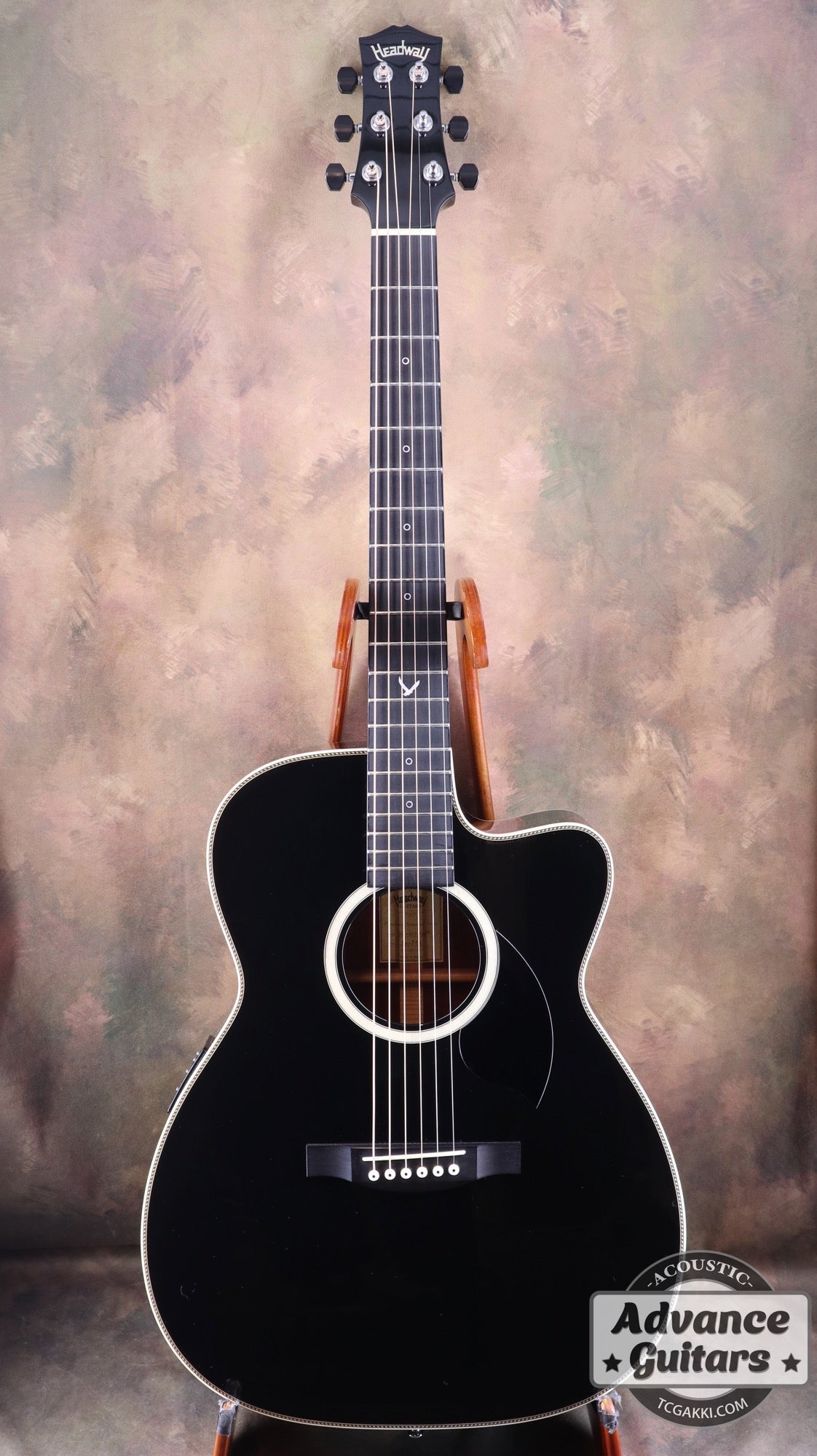 HC - 313 STD 40th Anniversary - TC楽器 - TCGAKKI