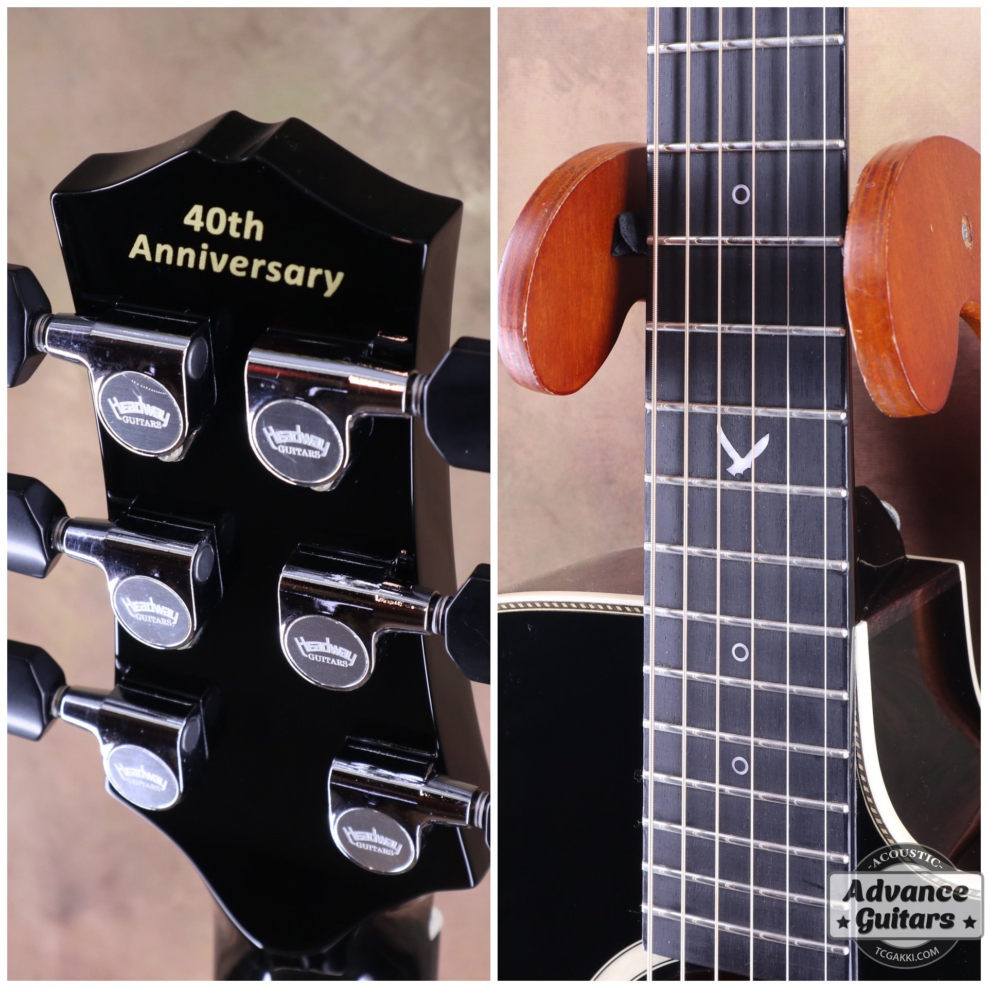 HC - 313 STD 40th Anniversary - TC楽器 - TCGAKKI