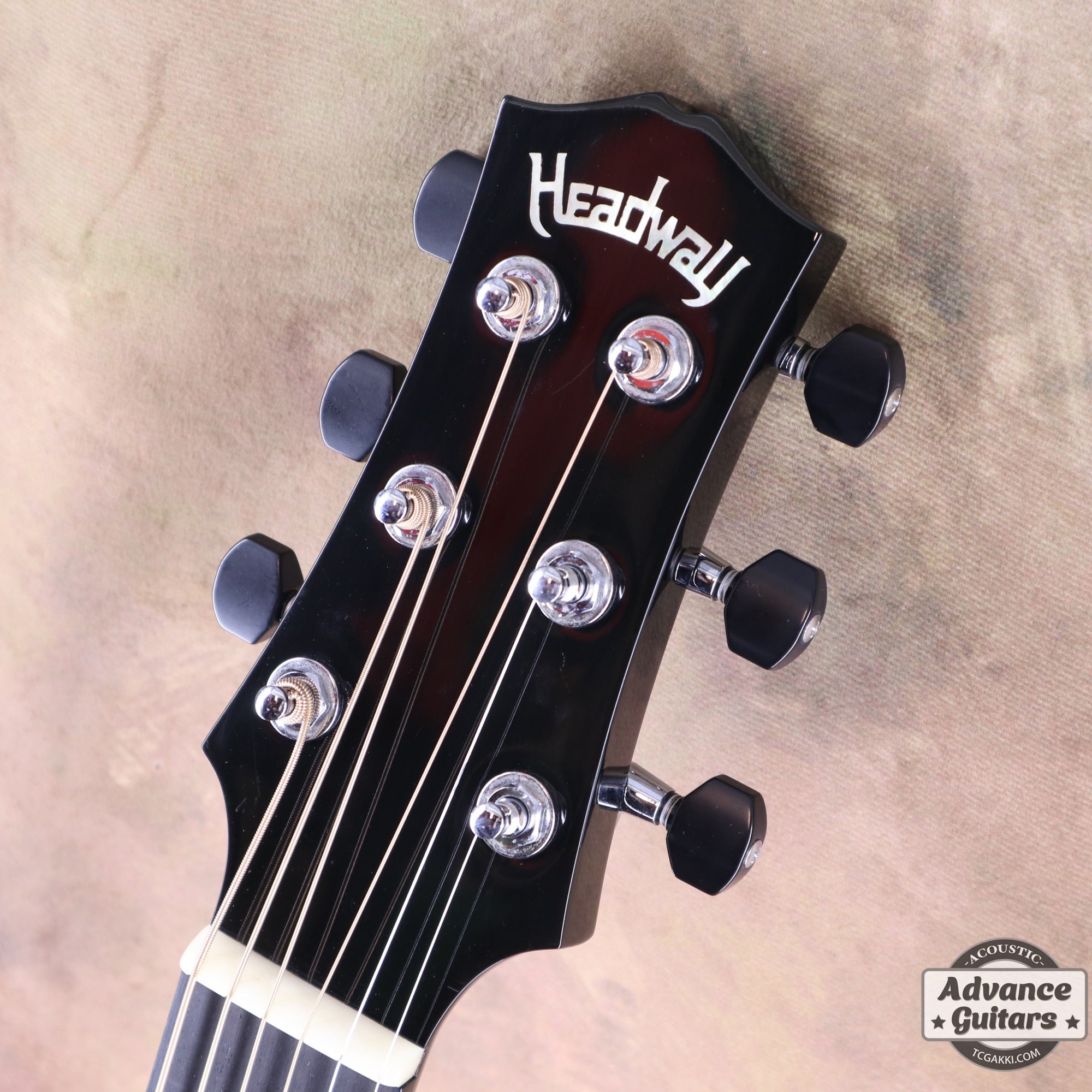 HC - 313 STD 40th Anniversary - TC楽器 - TCGAKKI