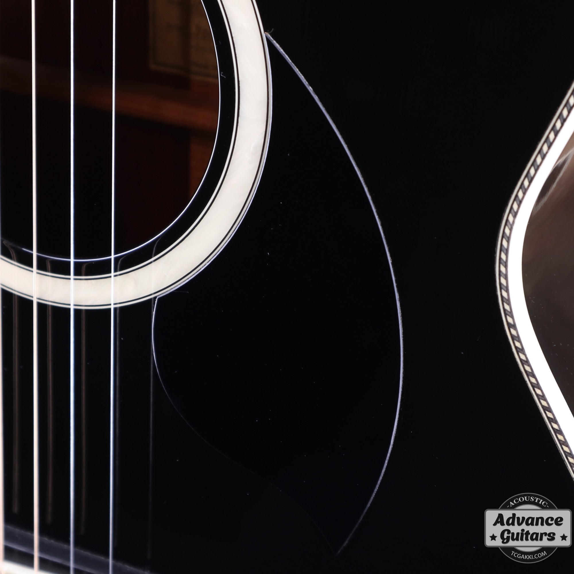 HC - 313 STD 40th Anniversary - TC楽器 - TCGAKKI