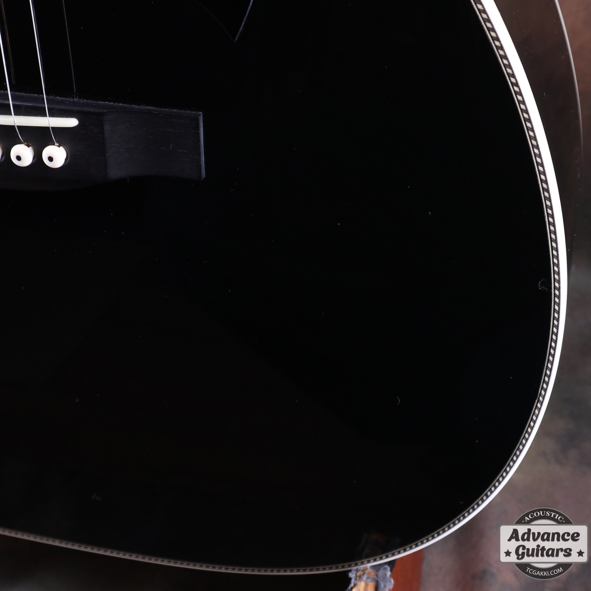 HC - 313 STD 40th Anniversary - TC楽器 - TCGAKKI