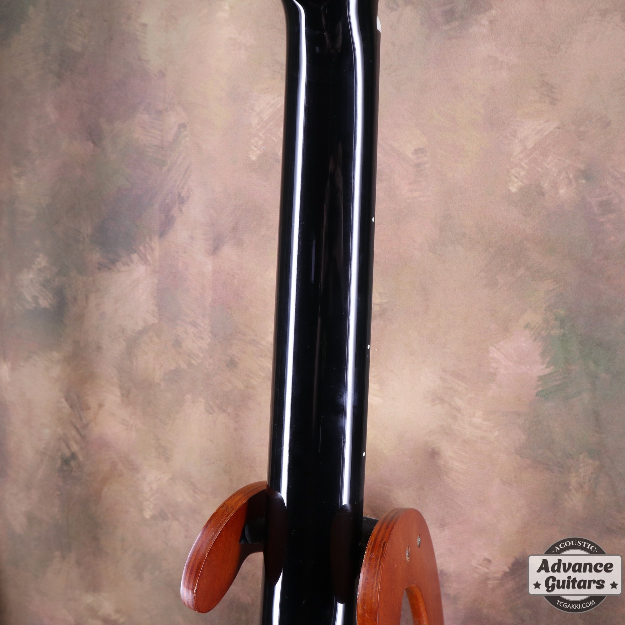 HC - 313 STD 40th Anniversary - TC楽器 - TCGAKKI