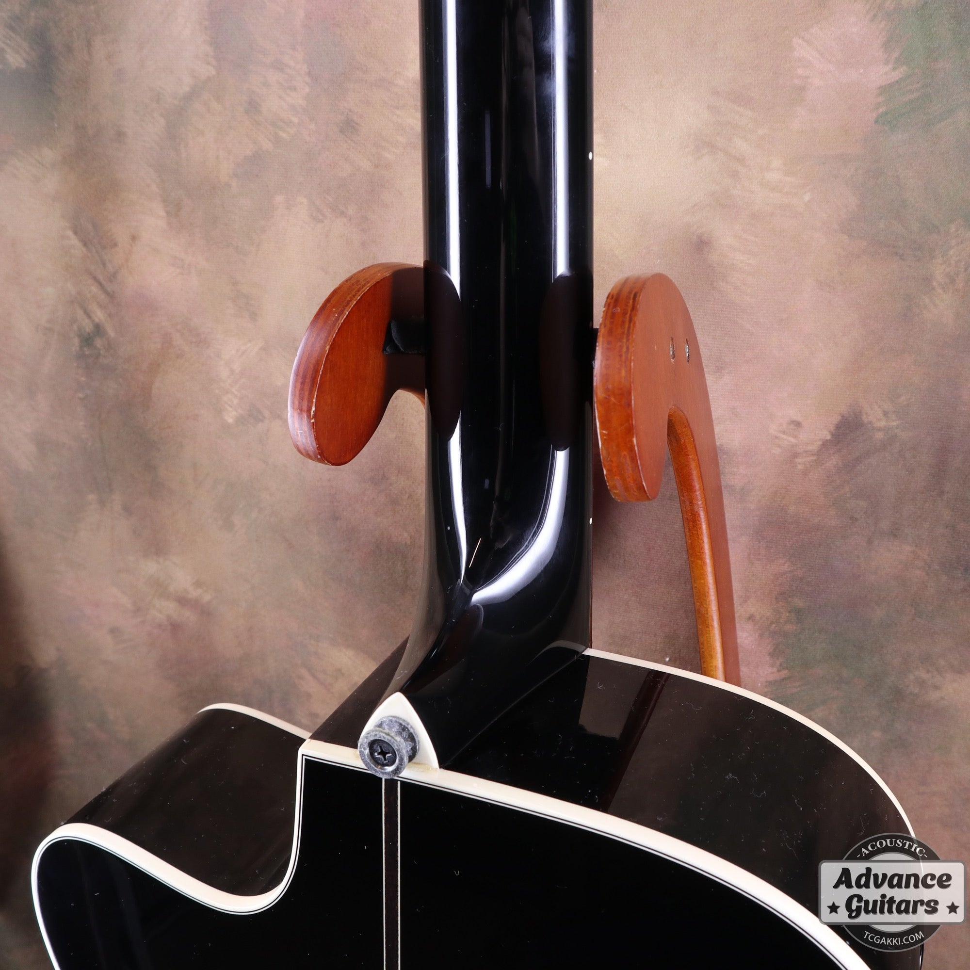 HC - 313 STD 40th Anniversary - TC楽器 - TCGAKKI