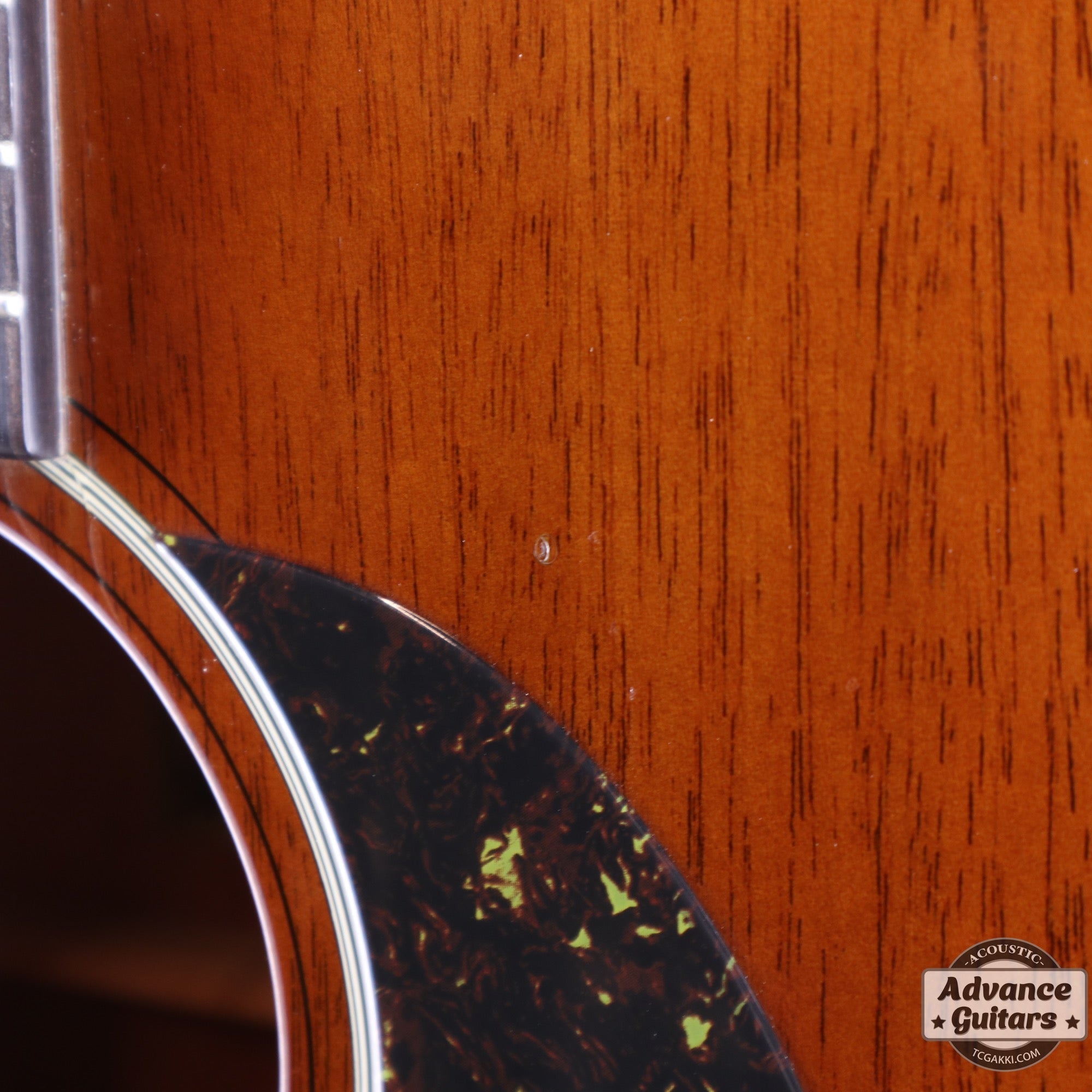 HD - AM - TC楽器 - TCGAKKI