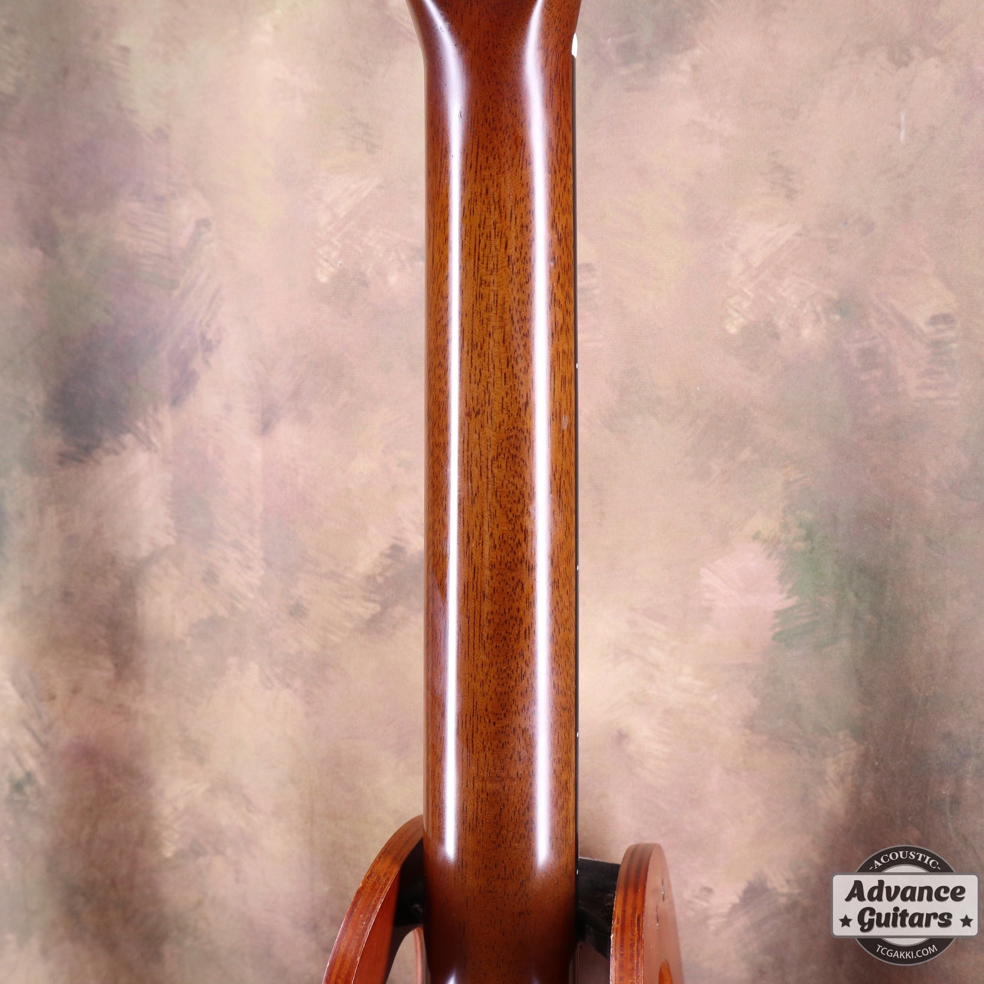 HD - AM - TC楽器 - TCGAKKI