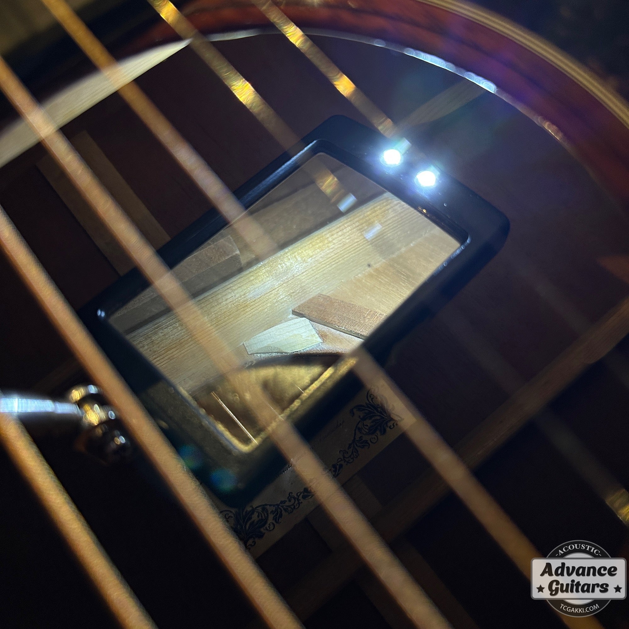 HD - AM - TC楽器 - TCGAKKI