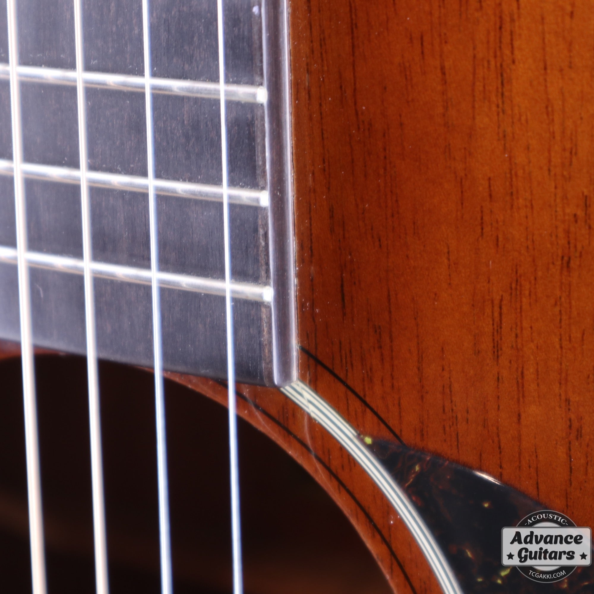 HD - AM - TC楽器 - TCGAKKI