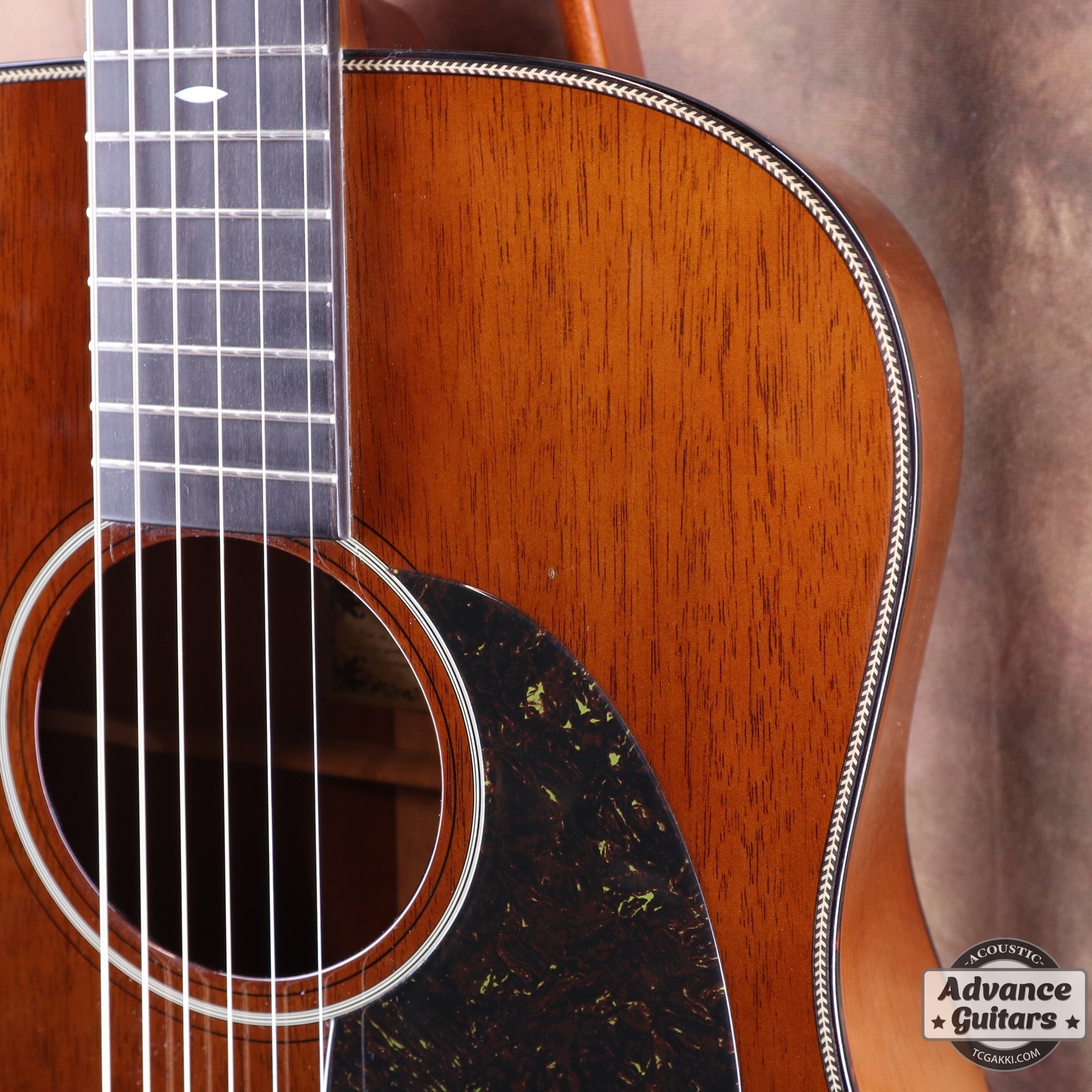 HD - AM - TC楽器 - TCGAKKI