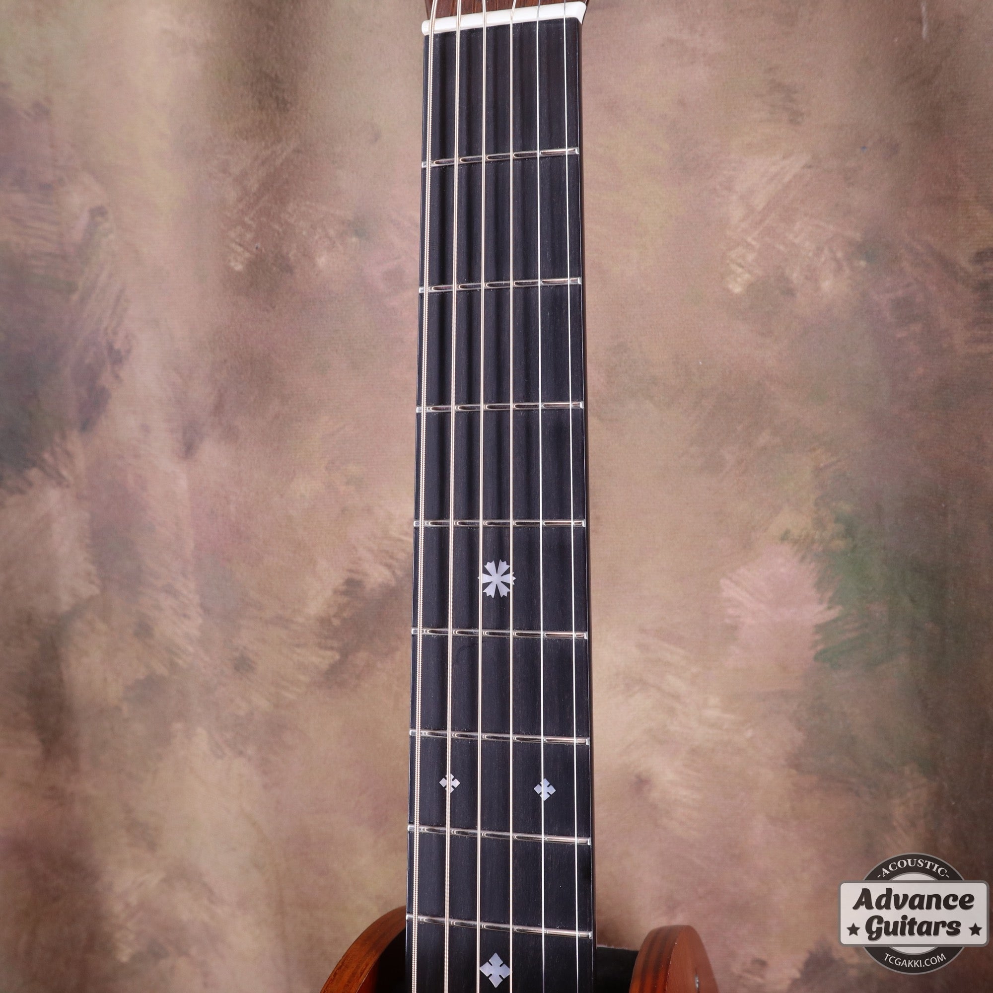 HD - AM - TC楽器 - TCGAKKI