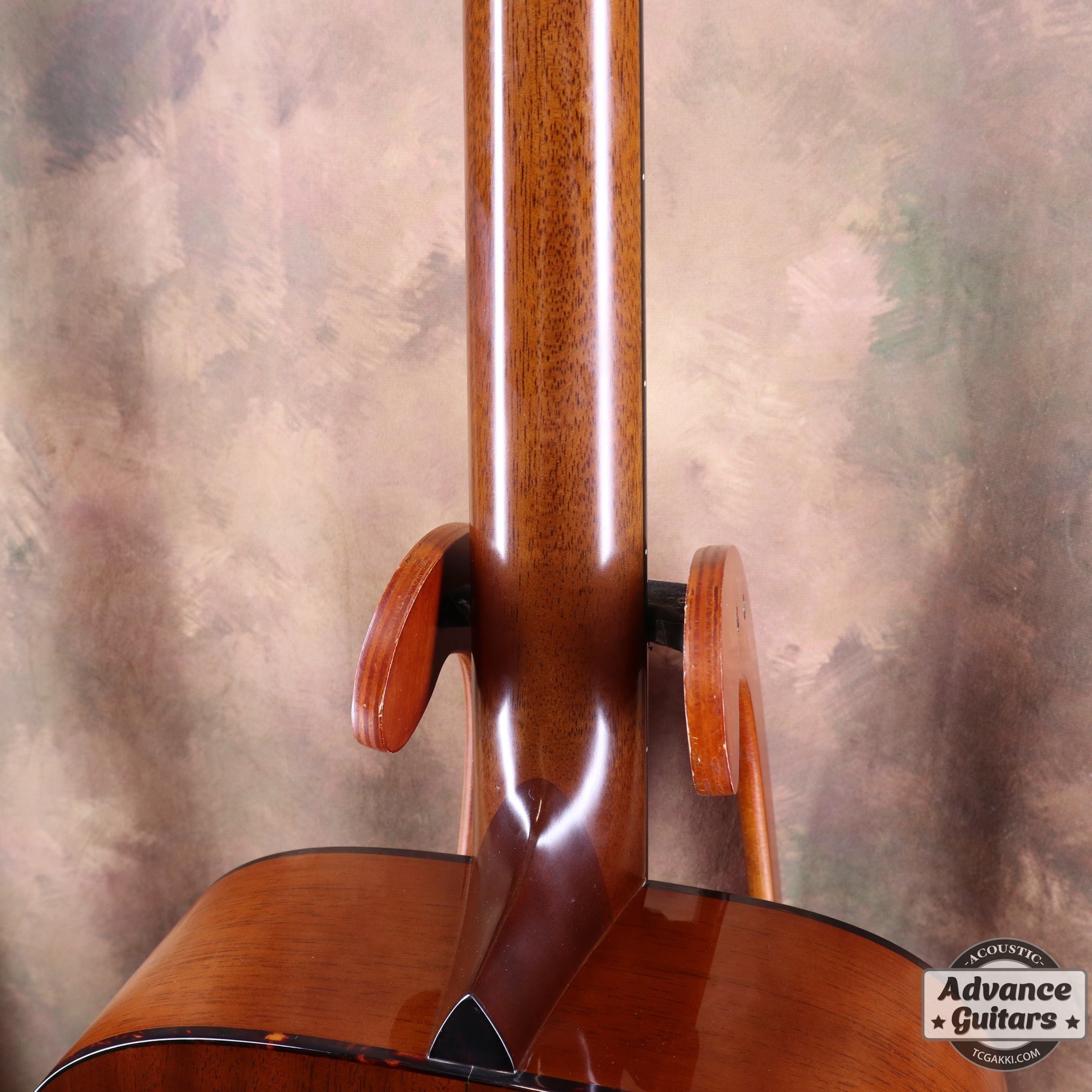 HD - AM - TC楽器 - TCGAKKI