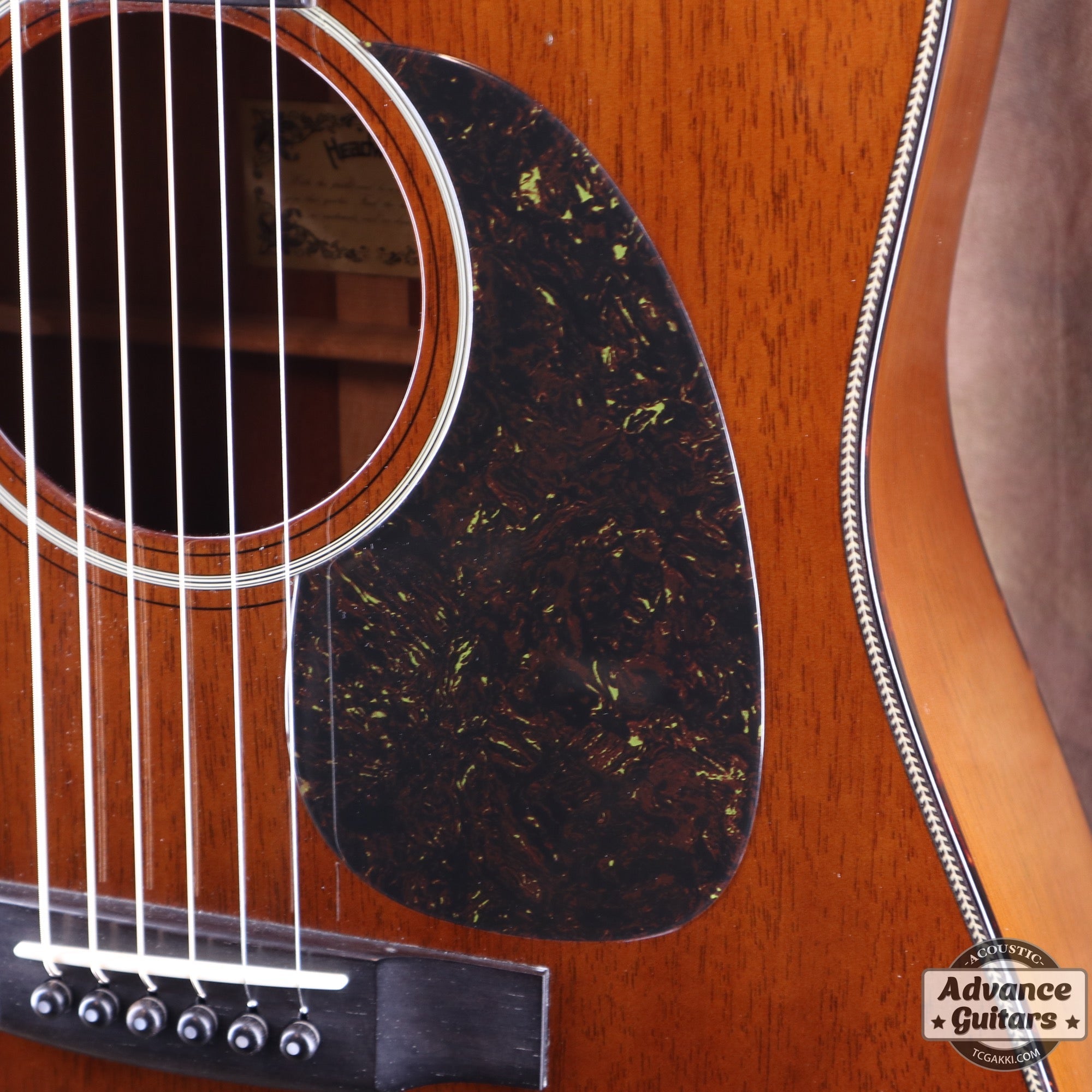 HD - AM - TC楽器 - TCGAKKI